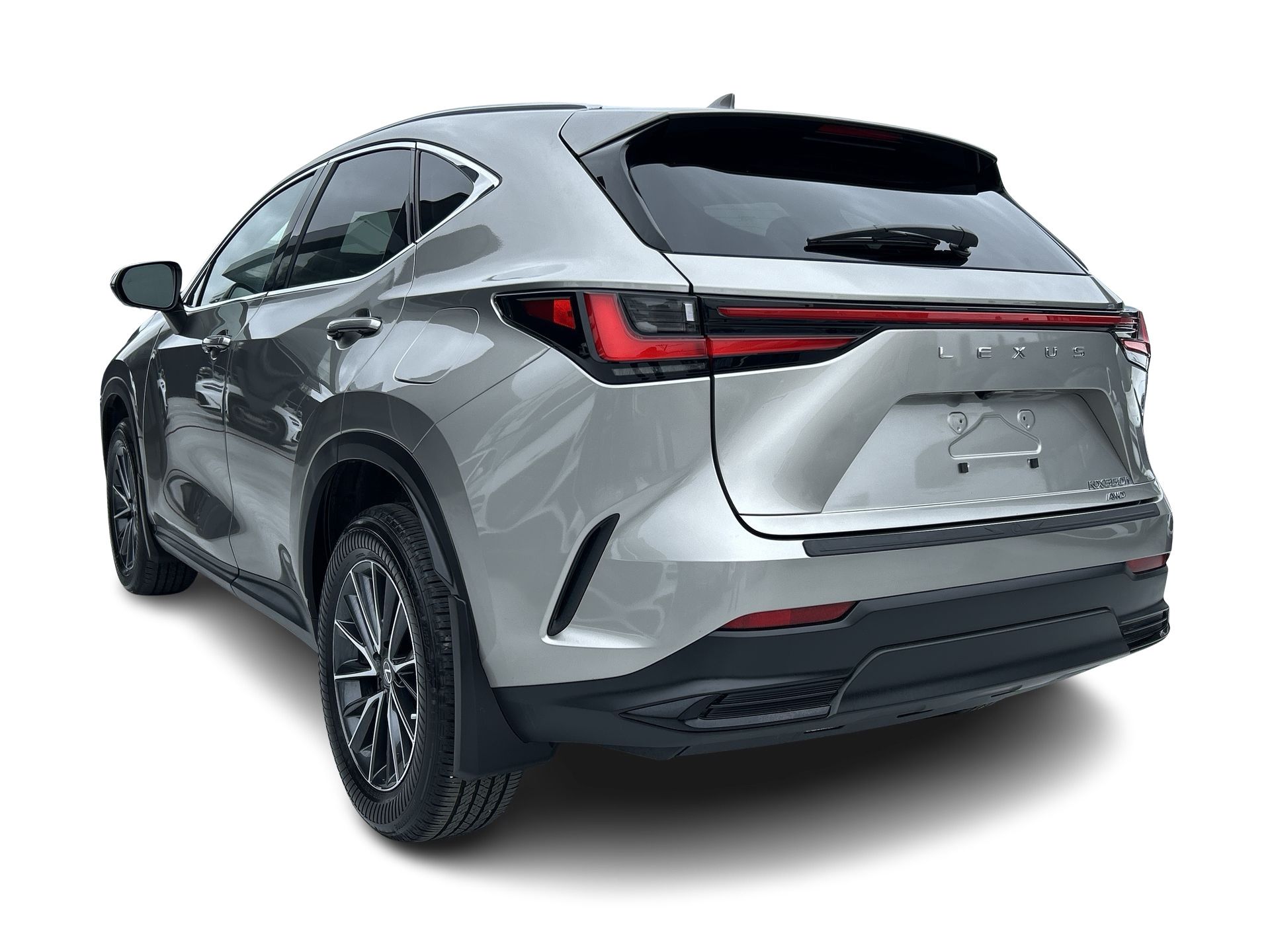2025  NX