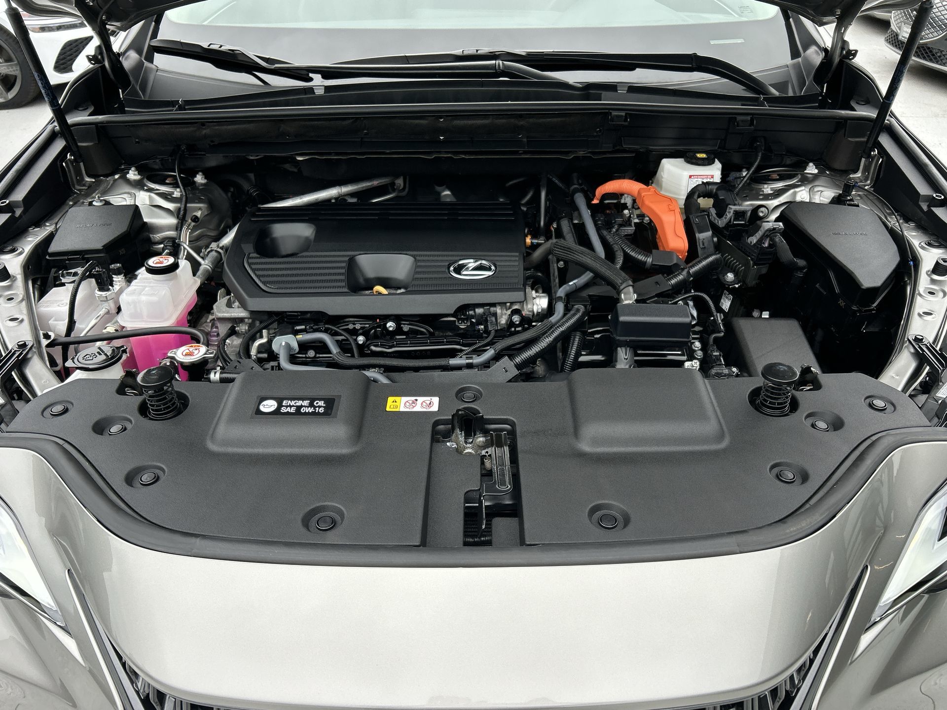 2025  NX