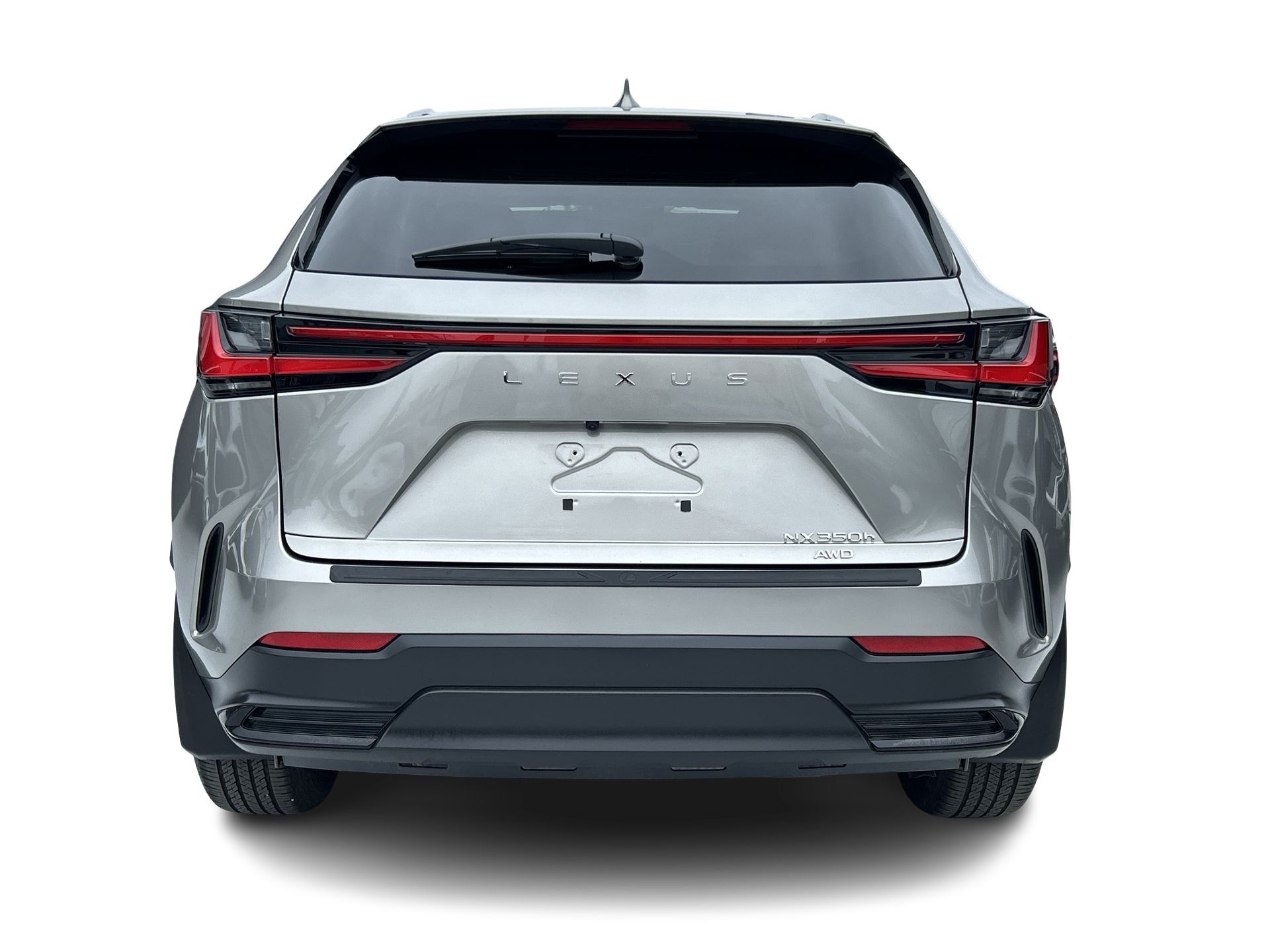 2025  NX
