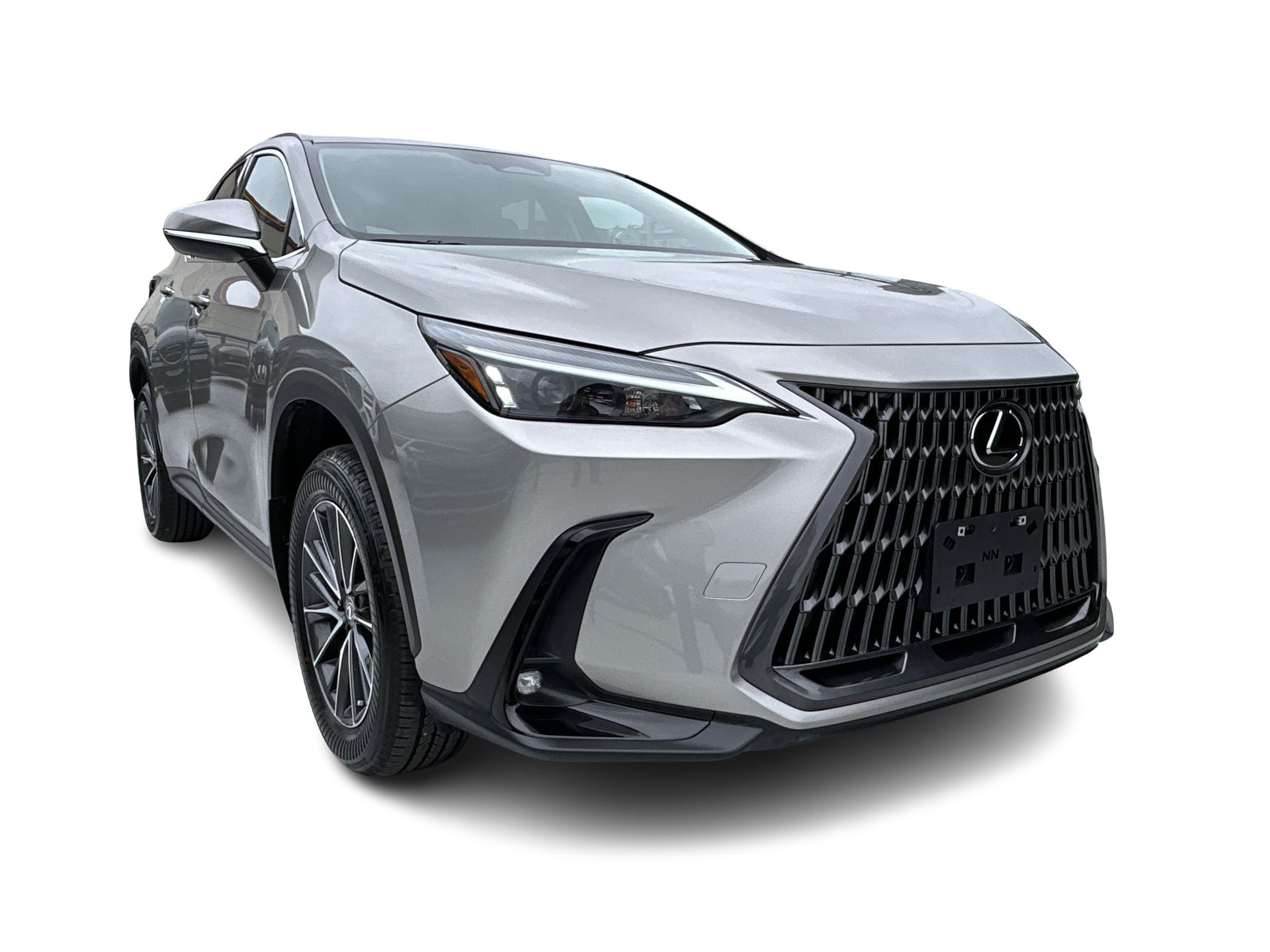 2025  NX