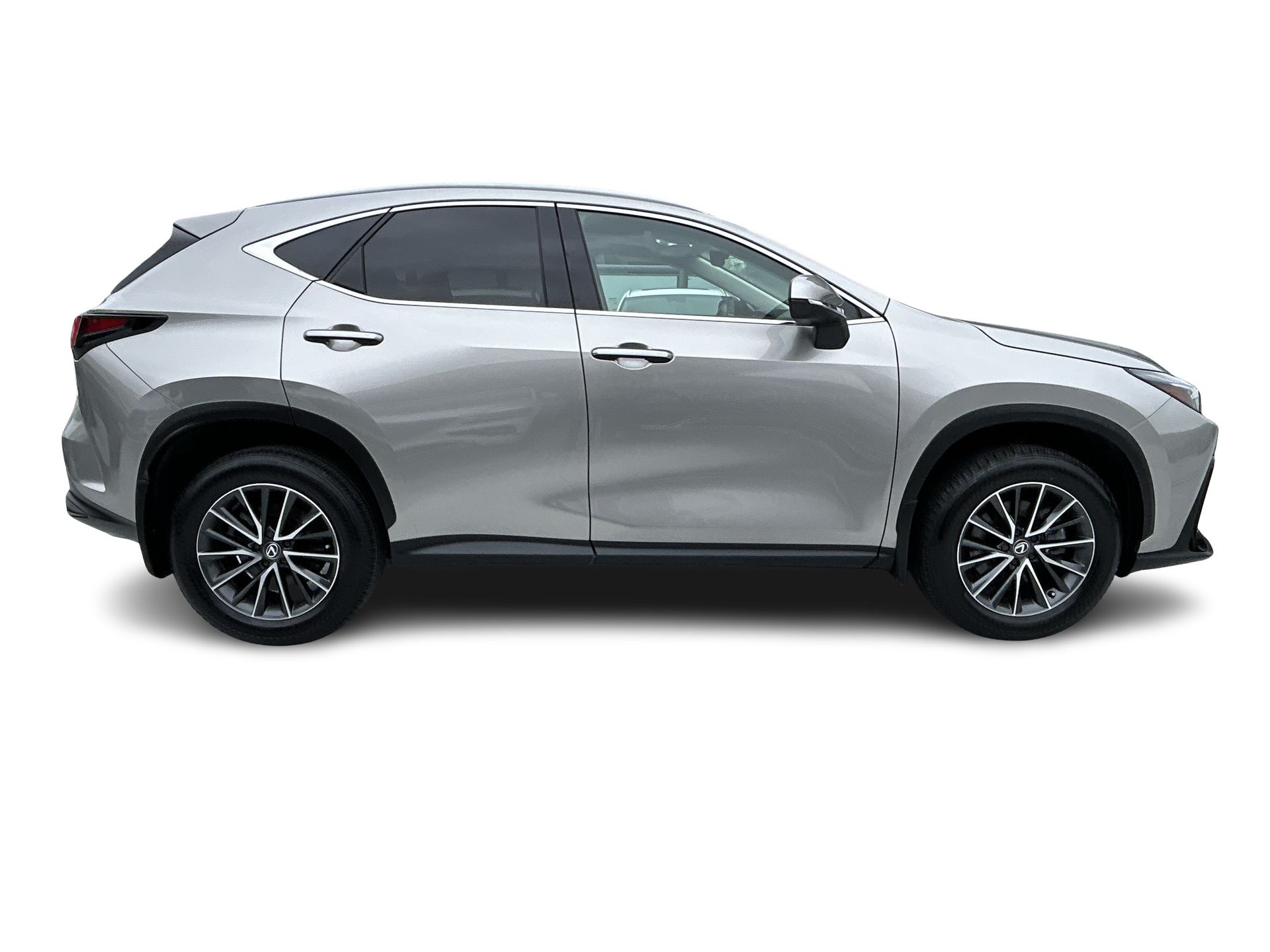 2025  NX