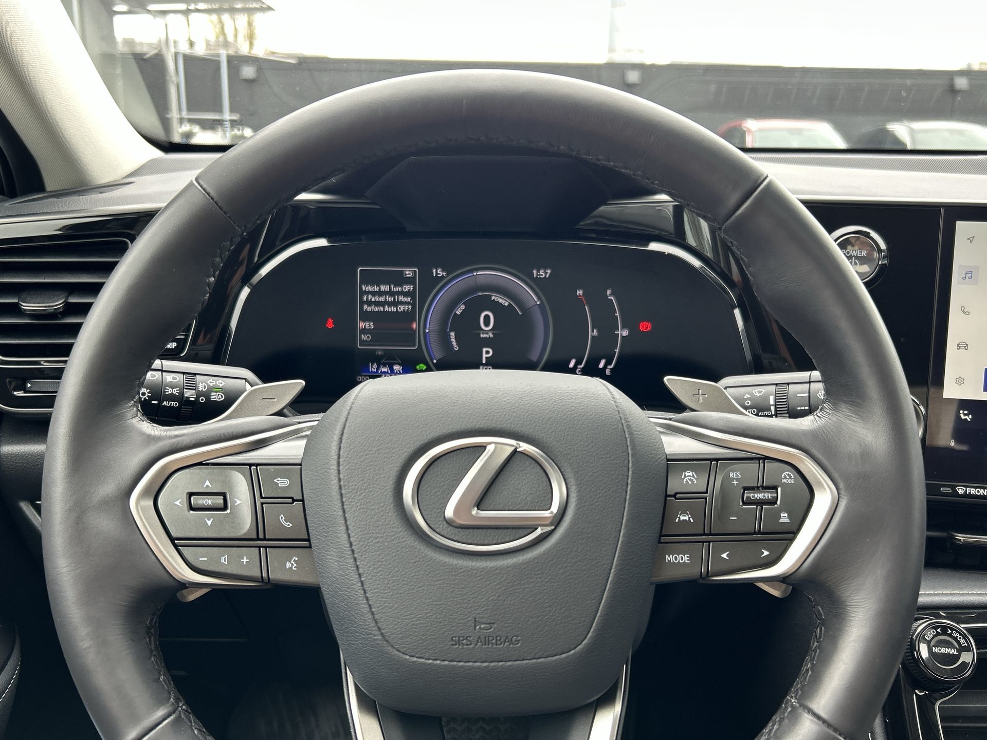 2025  NX