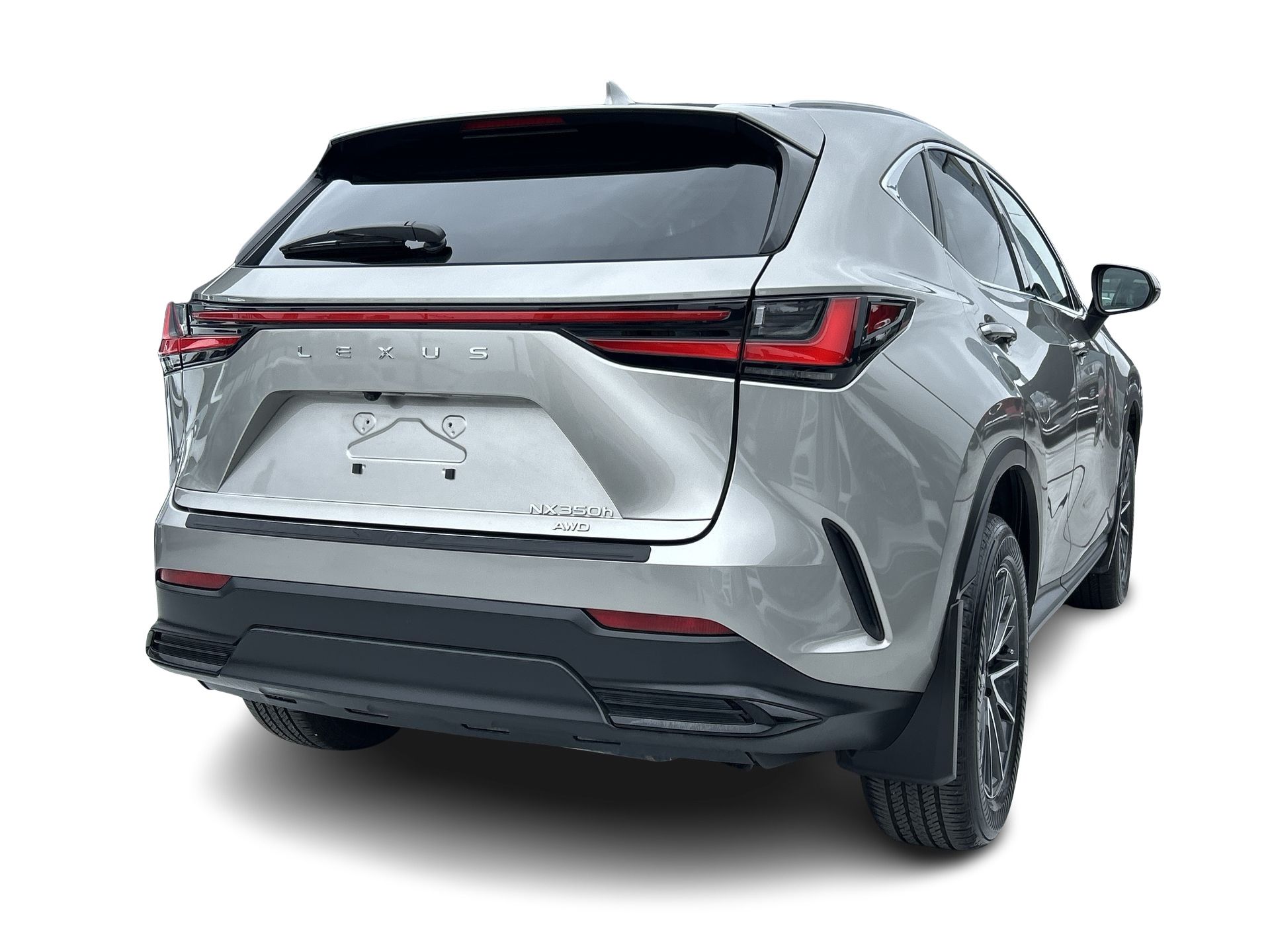 2025  NX