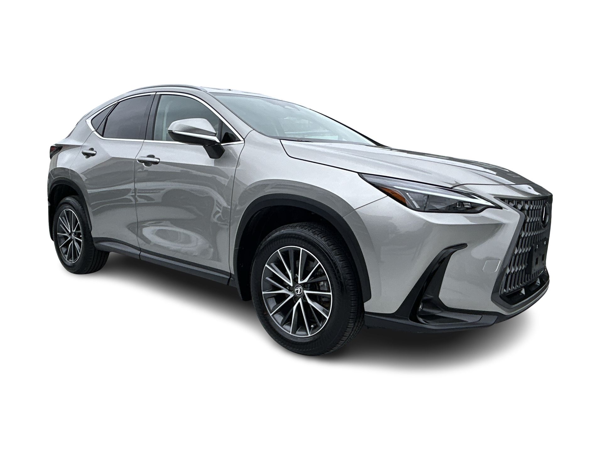 2025  NX