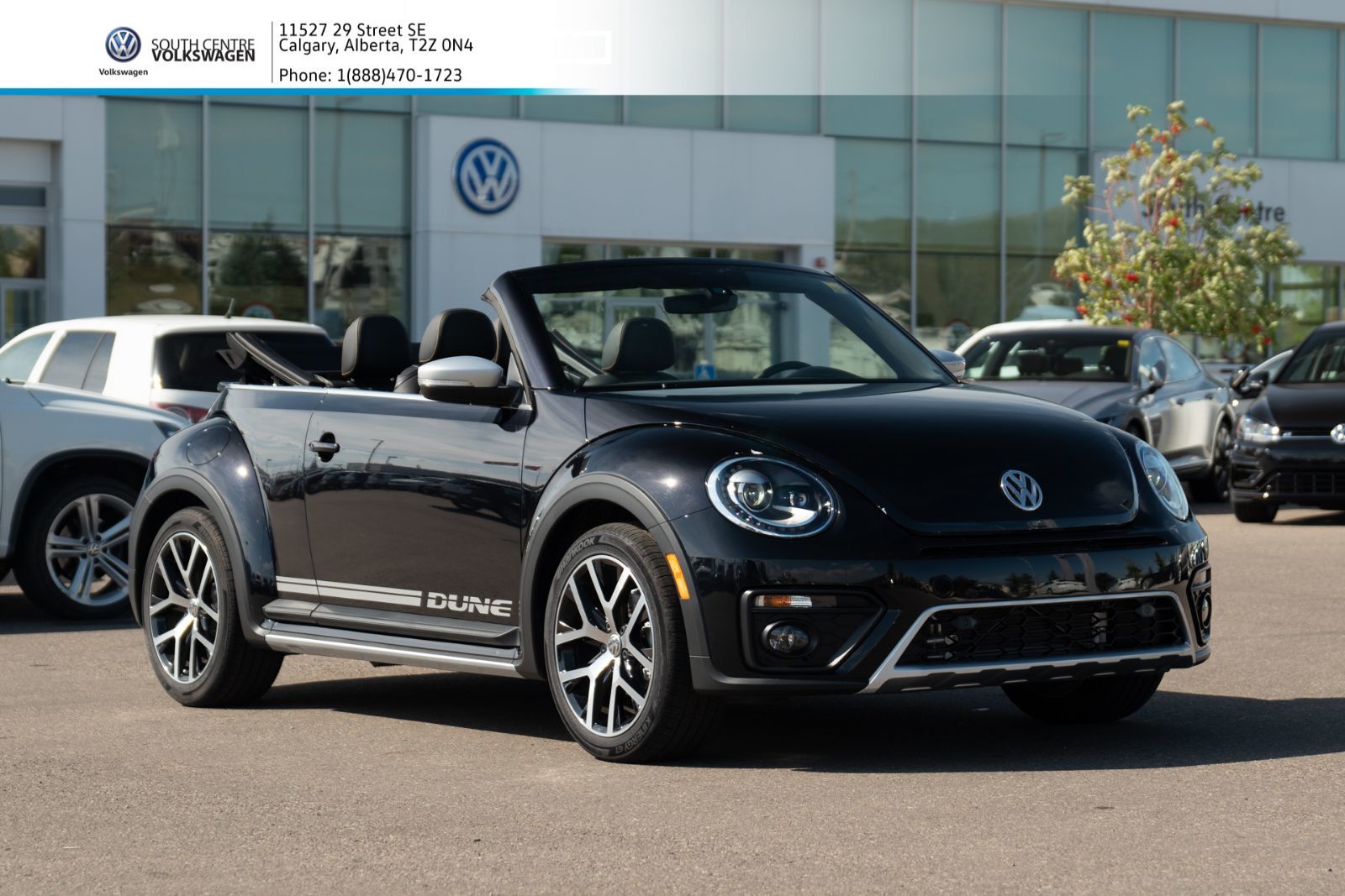 Volkswagen beetle 2019