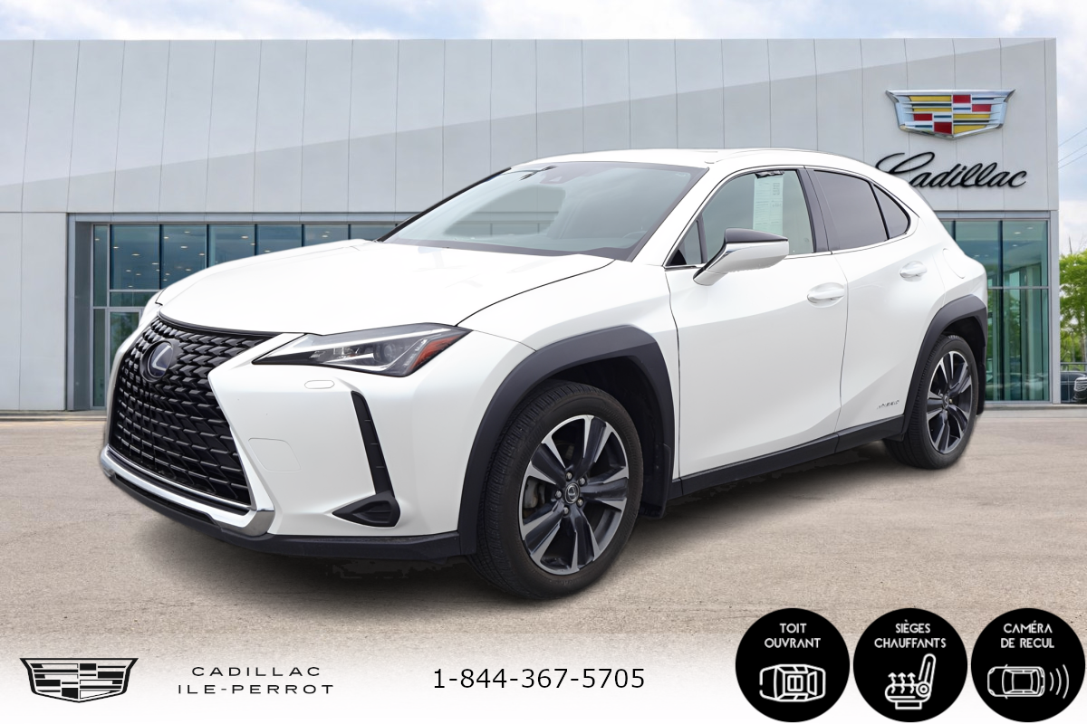 2021 Lexus UX UX 250h