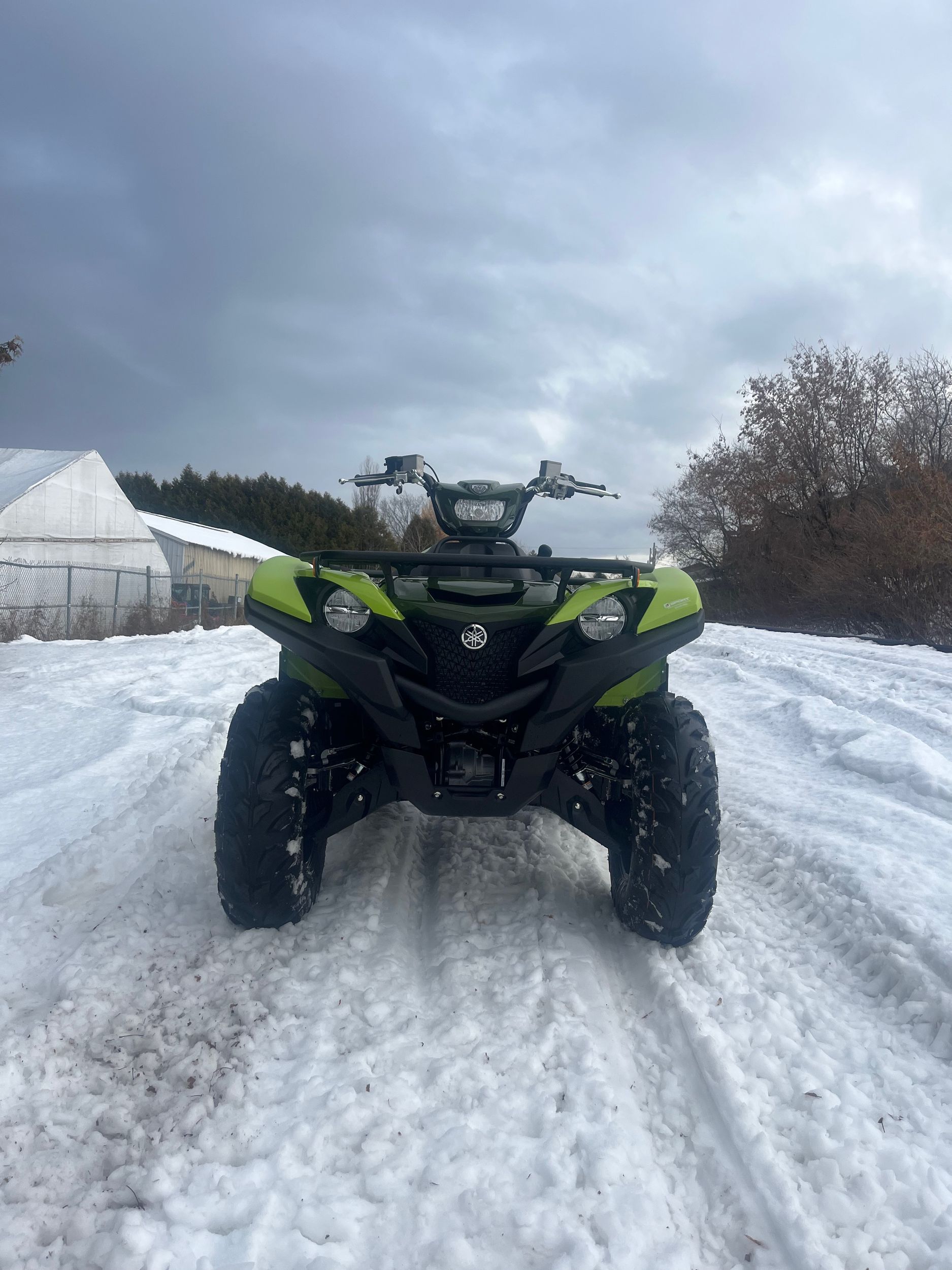 Yamaha Grizzly DAE SE  2026