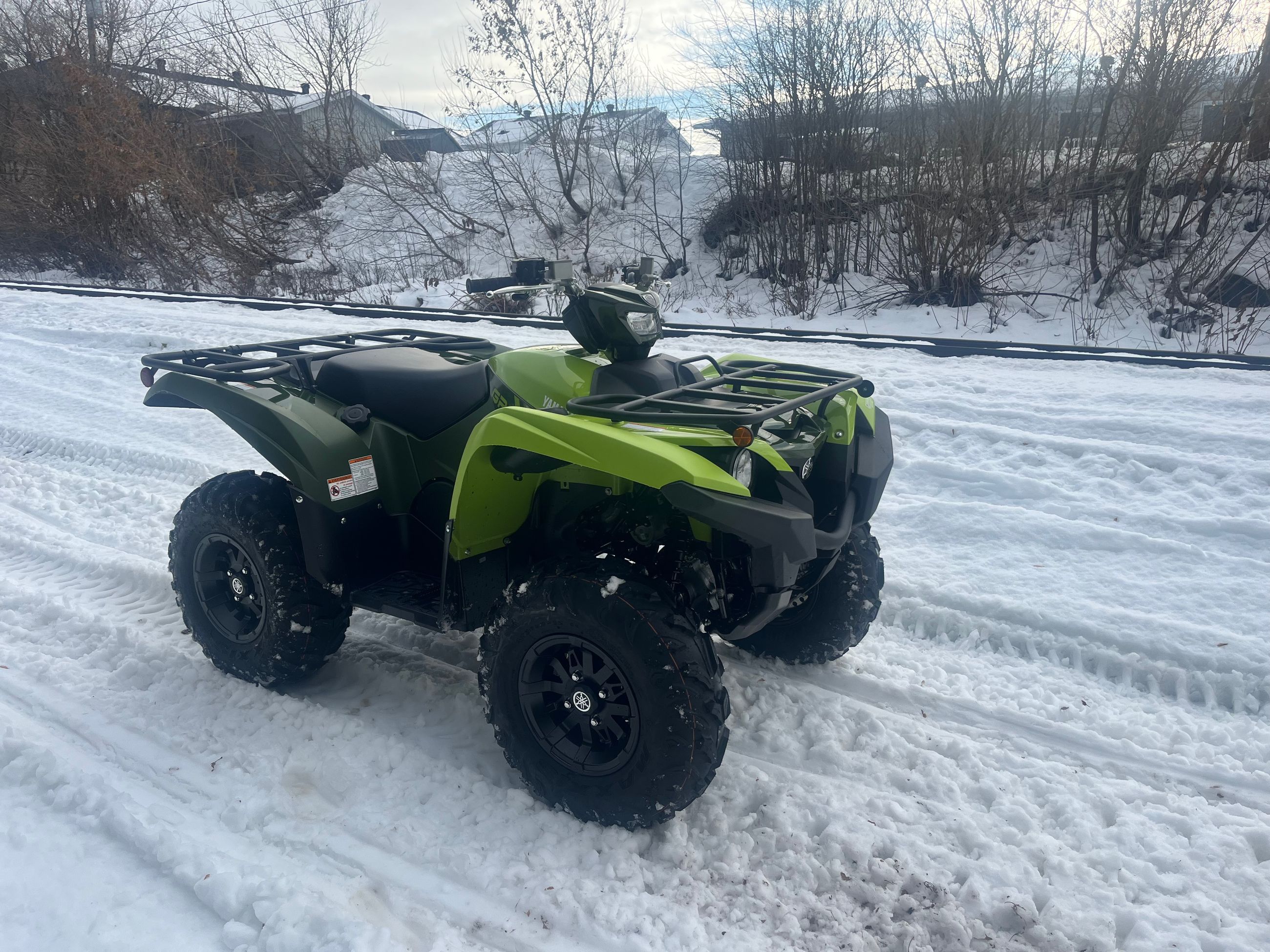 2026 Yamaha Grizzly DAE SE