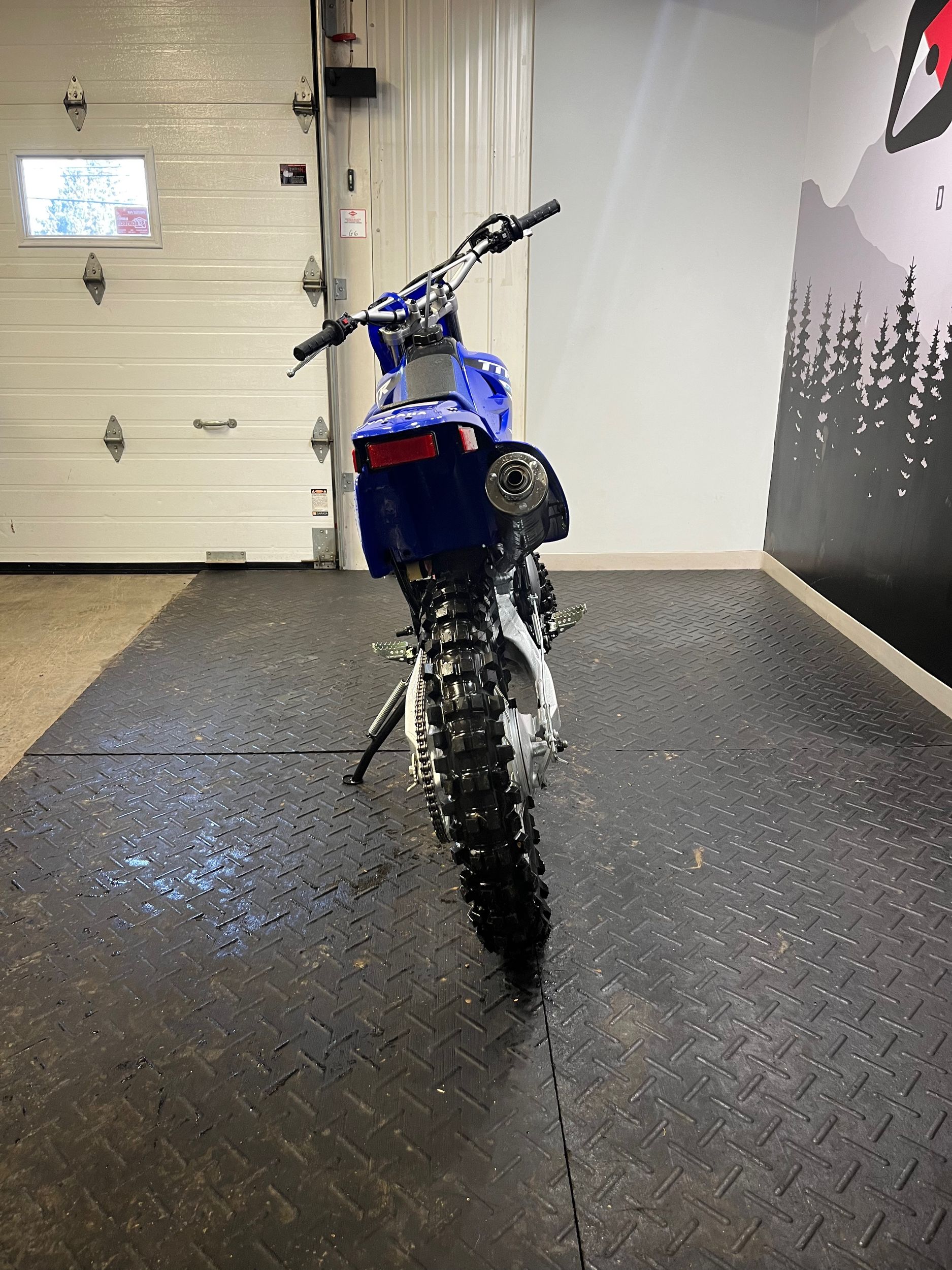 Yamaha TTR-230  2025