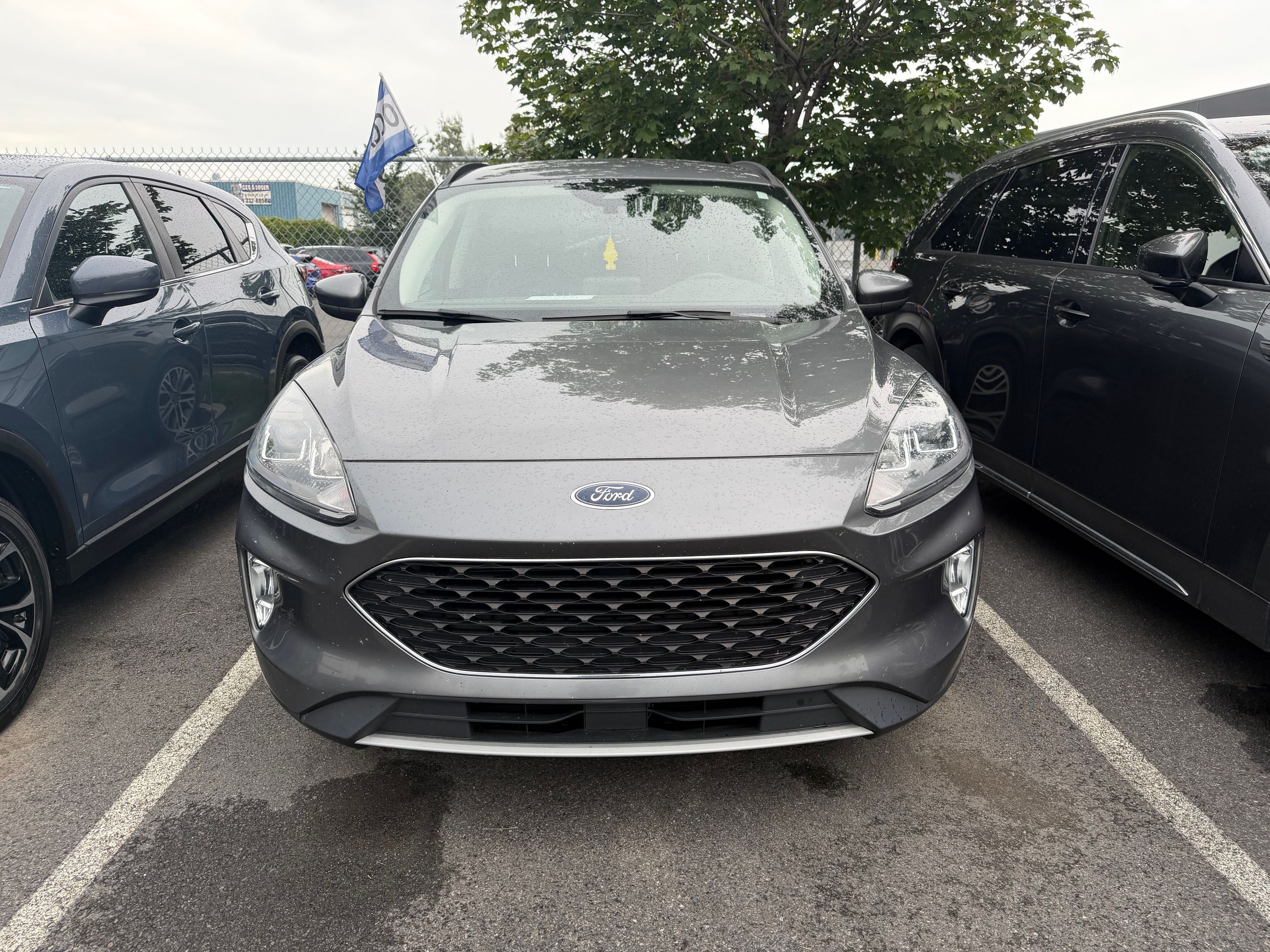 Photo 2021 Ford Escape SEL #2