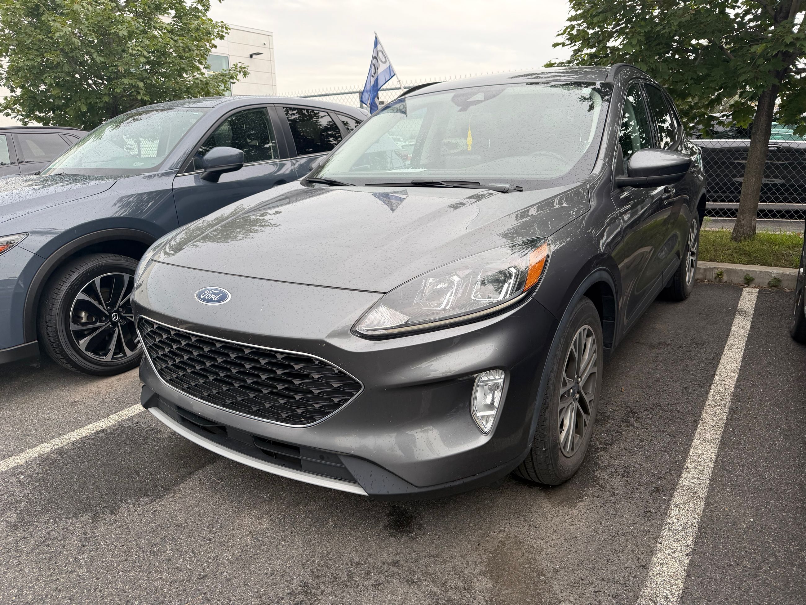 Photo 2021 Ford Escape SEL #1