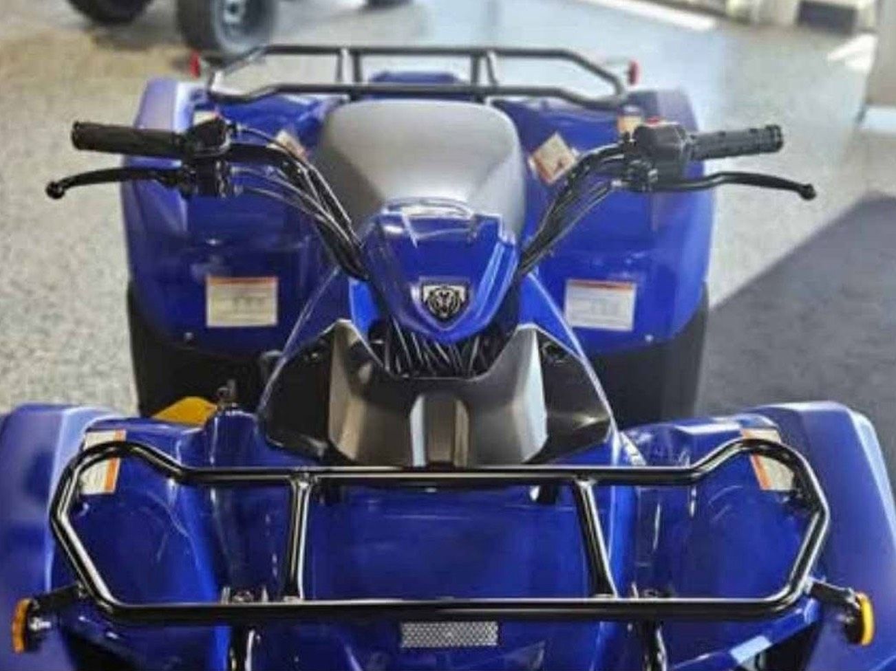 Yamaha GRIZZLY 110  2025