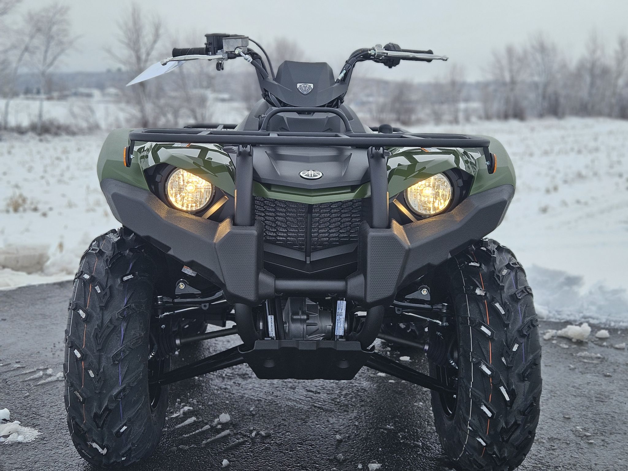 Yamaha Kodiak 450 EPS  2026