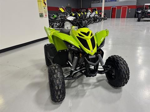 Yamaha RAPTOR 110  2026