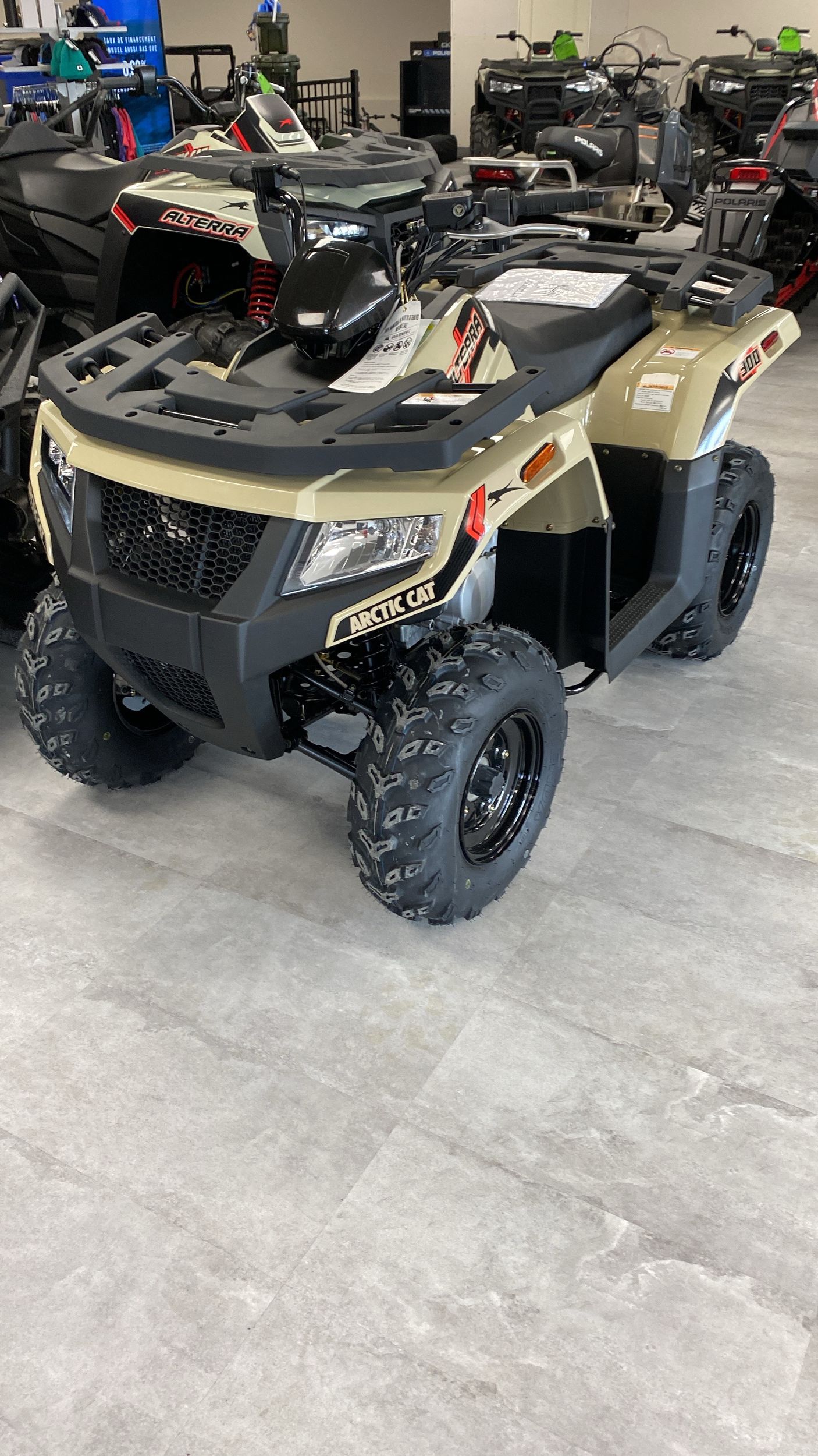 Arctic Cat ALTERRA 300 2X4 2024