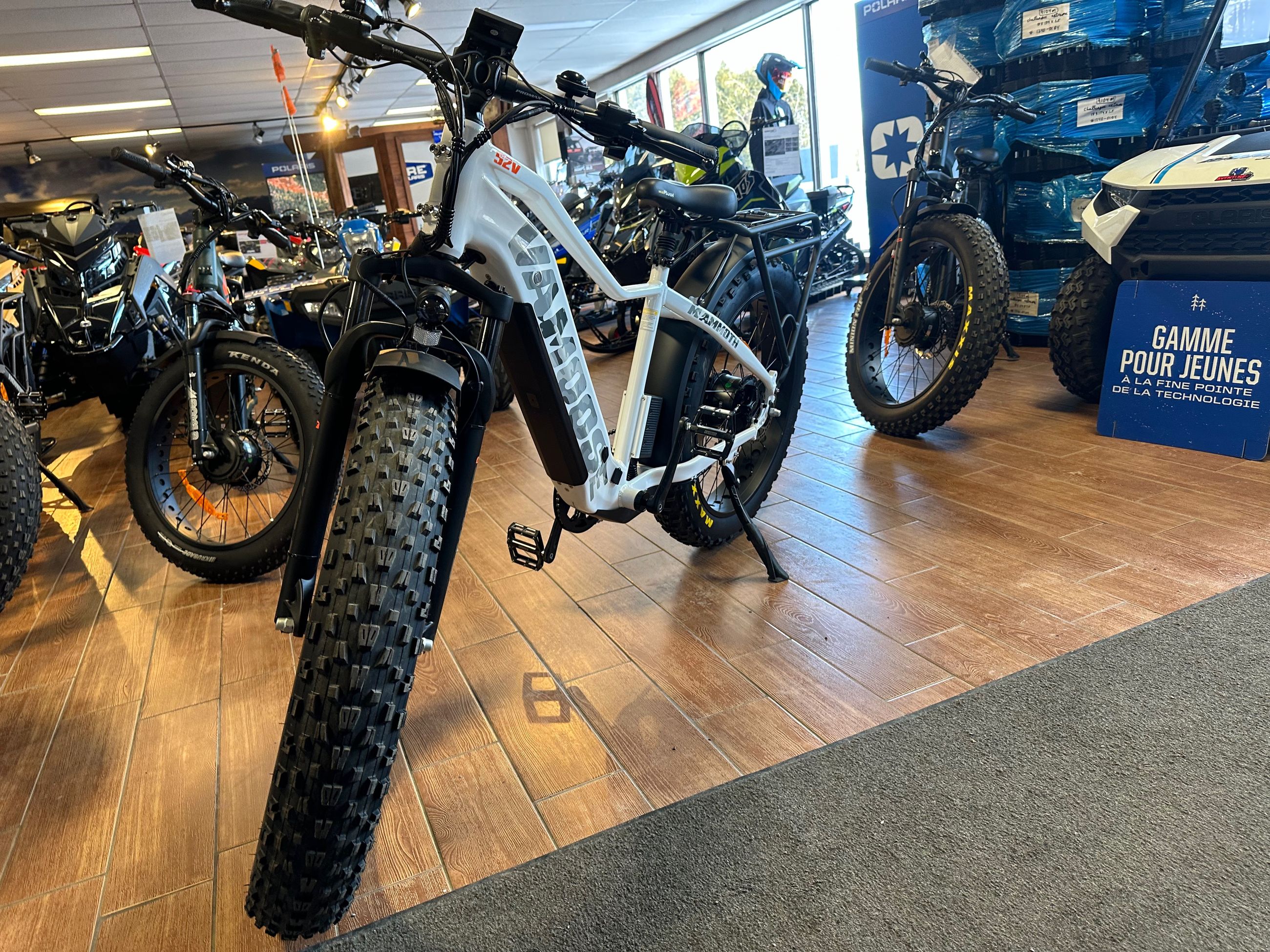 2024 VAMOOSE SUPER MAMMOUTH XI 750 SO