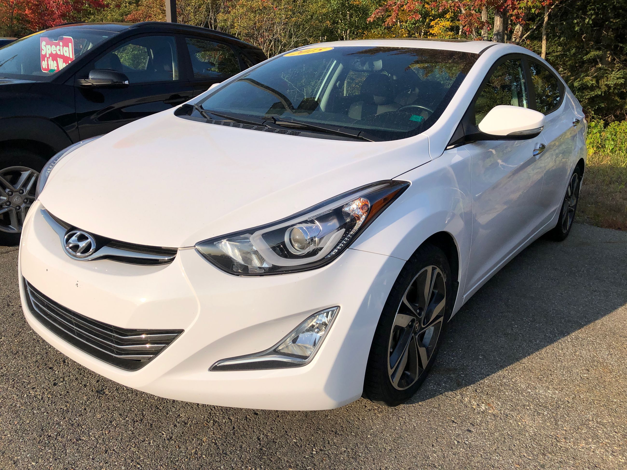 Used 2015 Hyundai Elantra Limited In Miramichi Used Inventory Trevors Hyundai In Miramichi New Brunswick