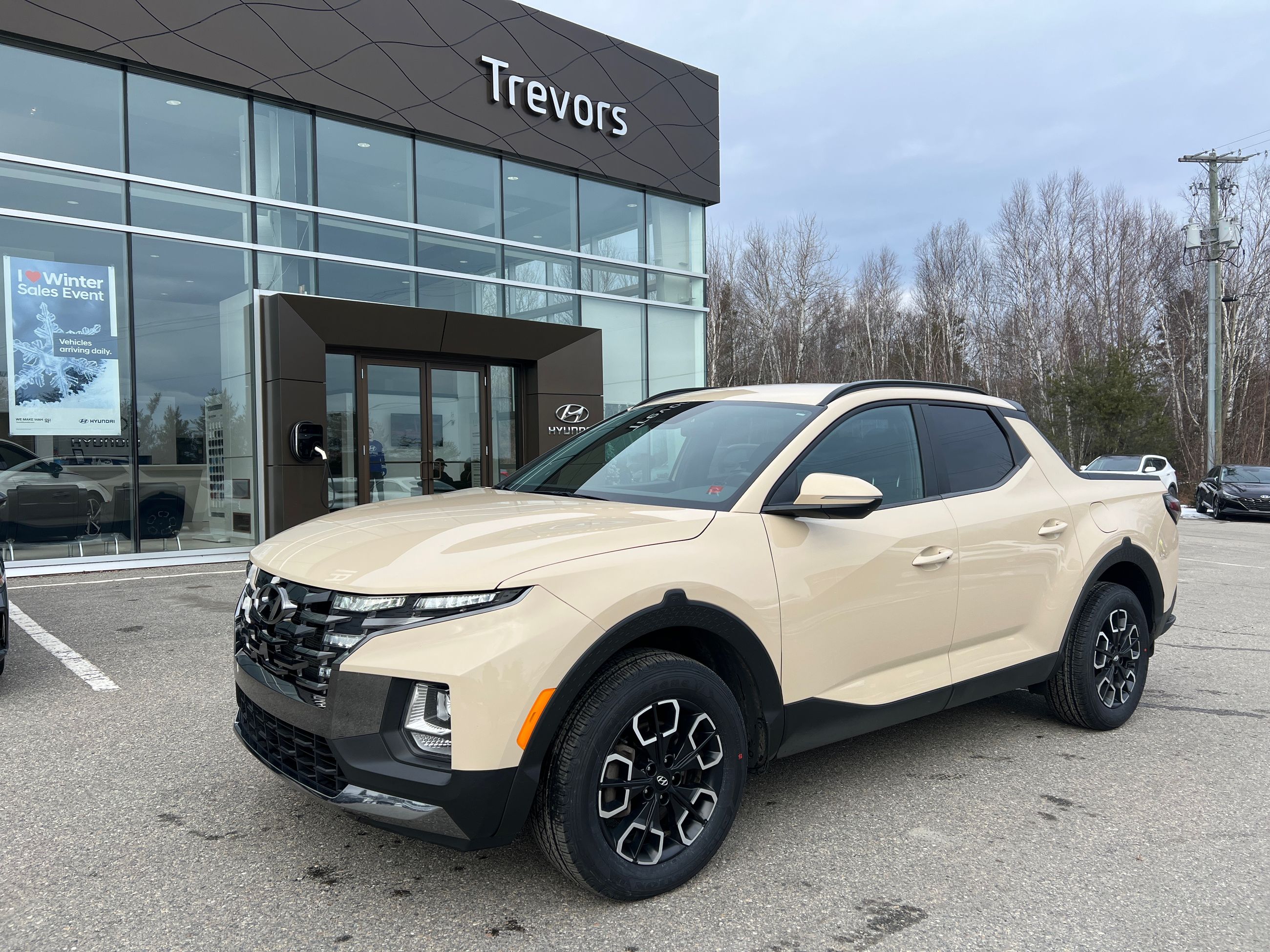 Trevors Hyundai in Miramichi 2022 Hyundai Santa Cruz Preferred