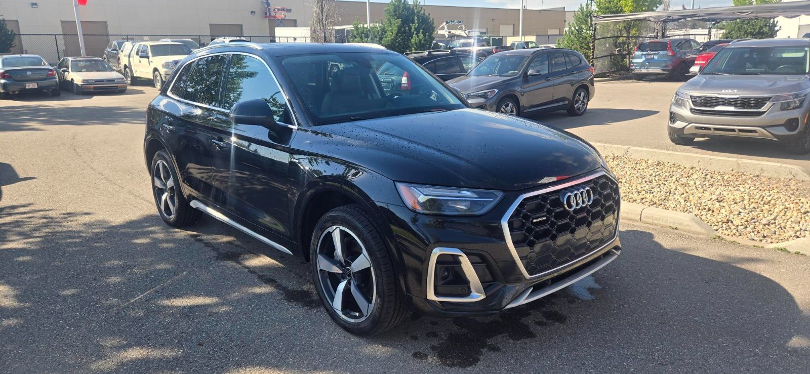 2024 Audi Q5 in Calgary, Alberta