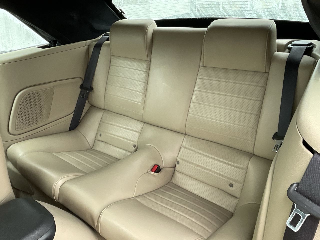 2006 Ford Mustang in Calgary, Alberta