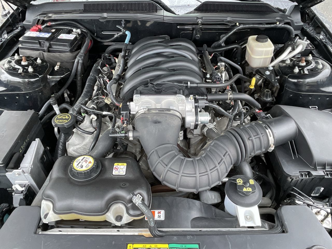 2006 Ford Mustang in Calgary, Alberta