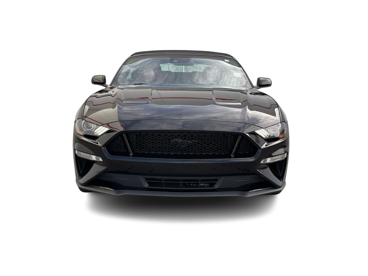 2022 Ford Mustang in Calgary, Alberta