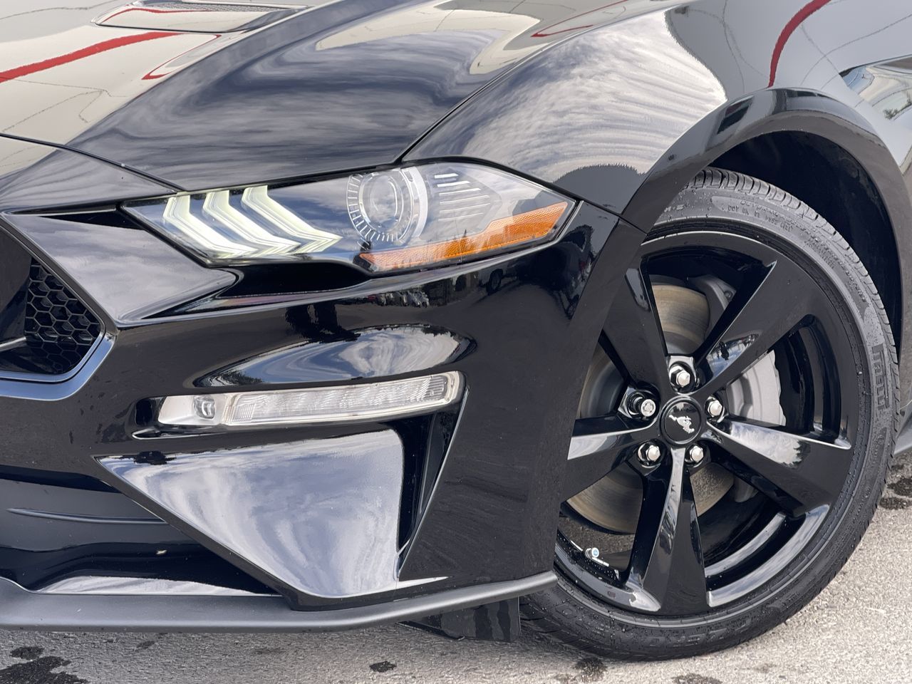 2022 Ford Mustang in Calgary, Alberta