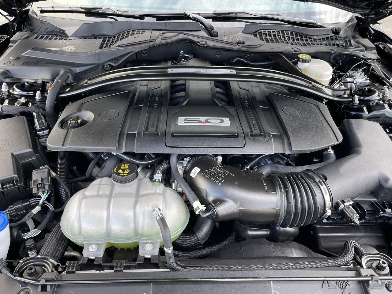 2022 Ford Mustang in Calgary, Alberta