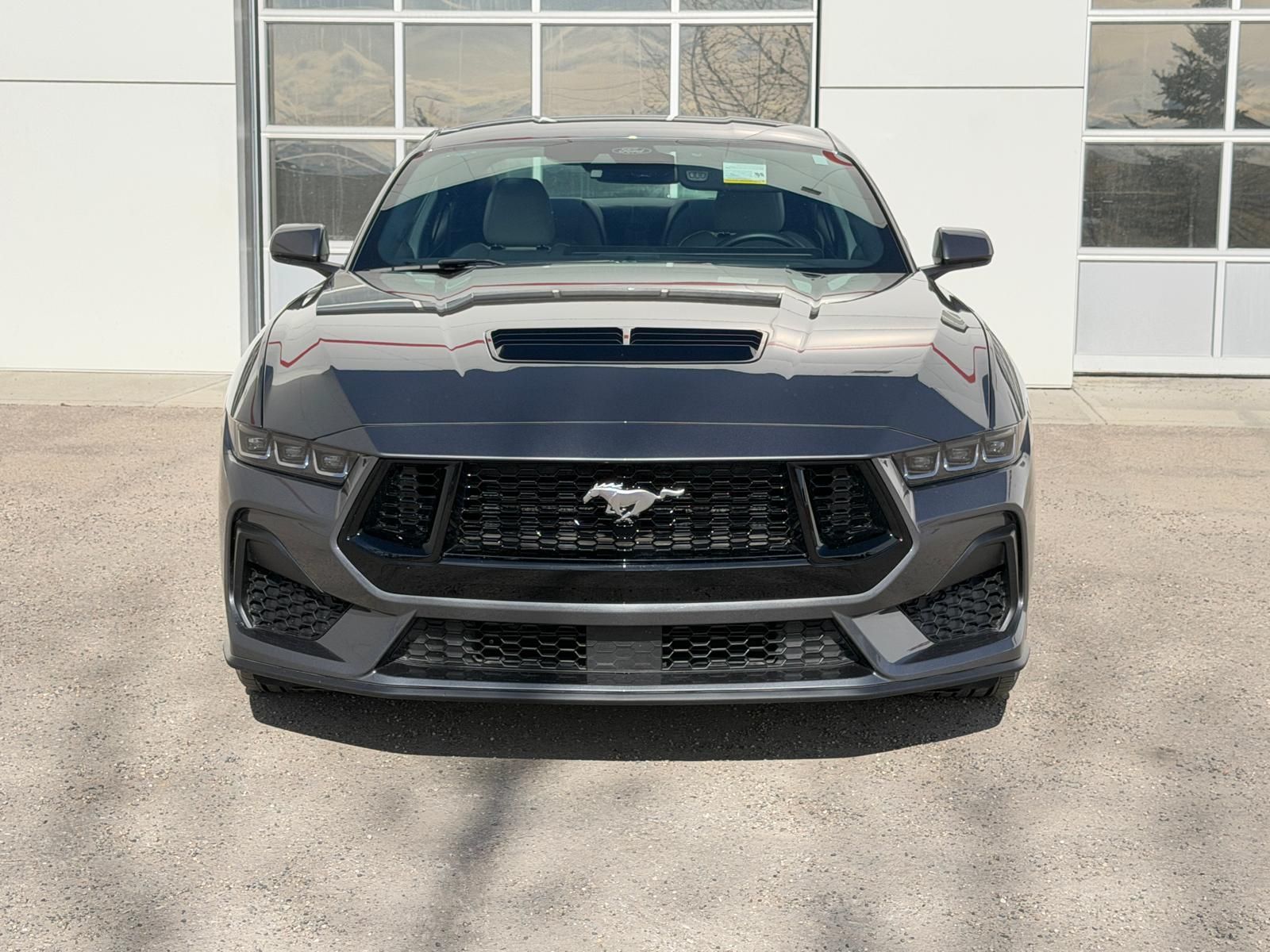 Ford Mustang  2025 à Calgary, Alberta
