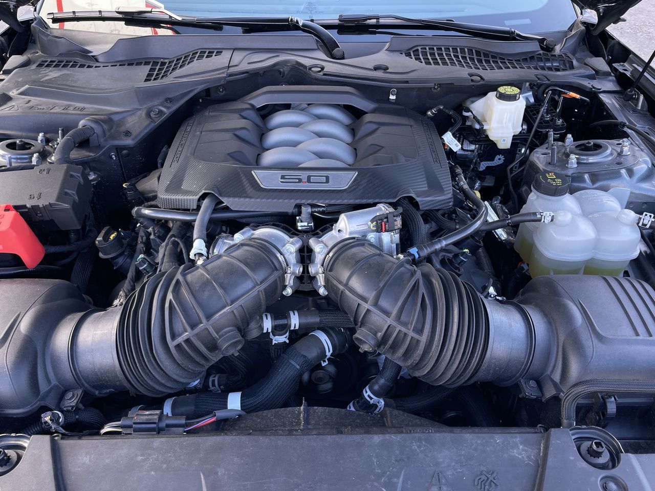 2025 Ford Mustang in Calgary, Alberta