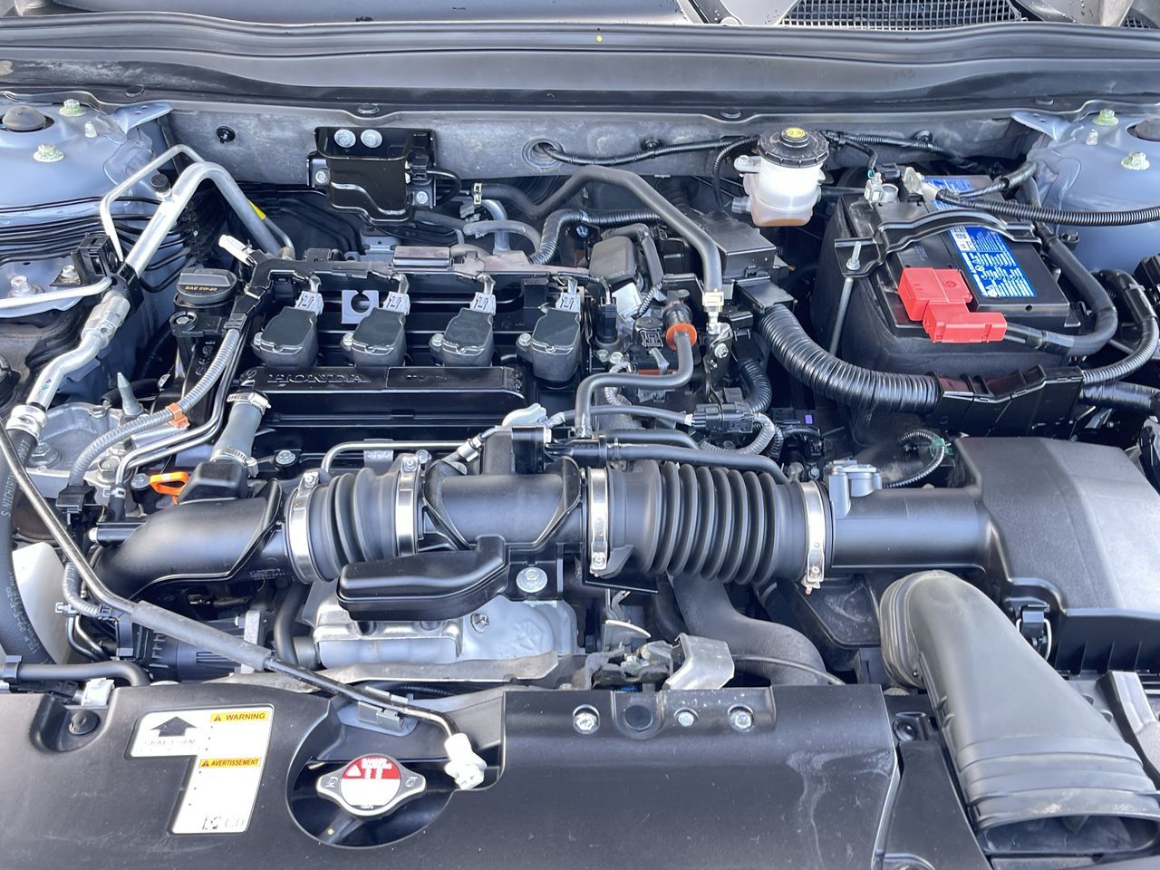 2022 Honda Accord in Calgary, Alberta