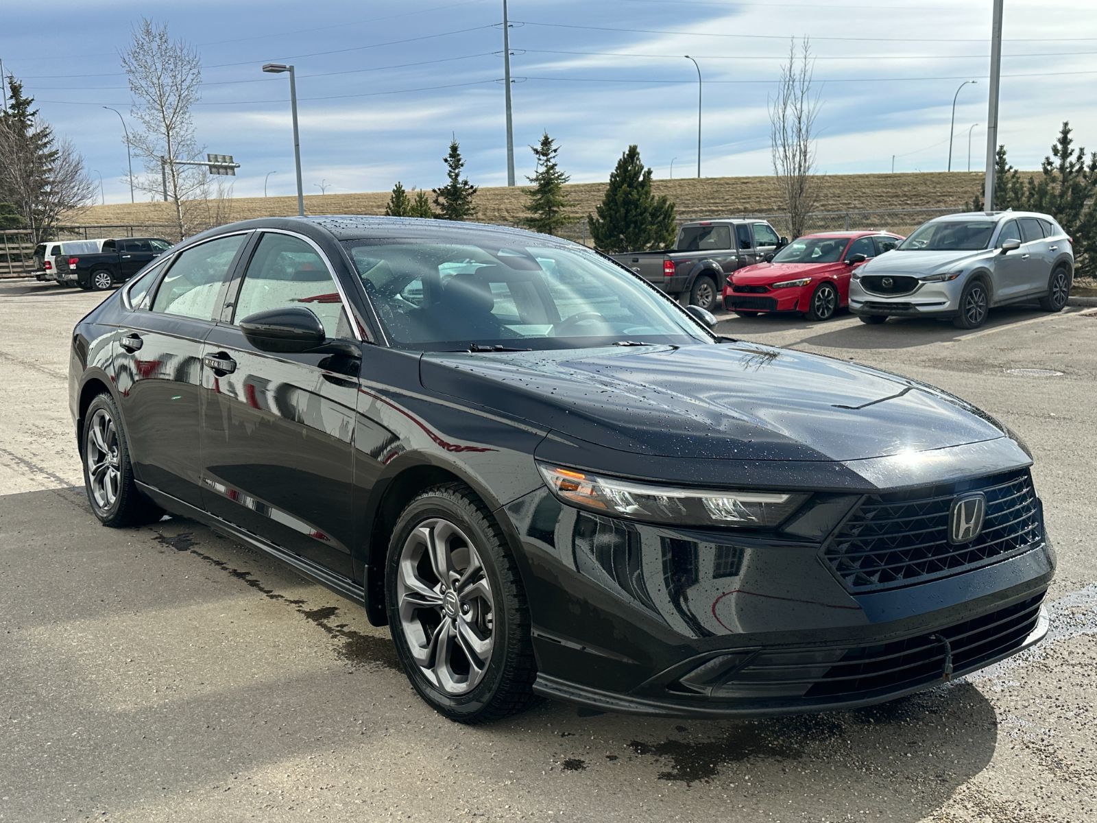 2023 Honda Accord in Calgary, Alberta