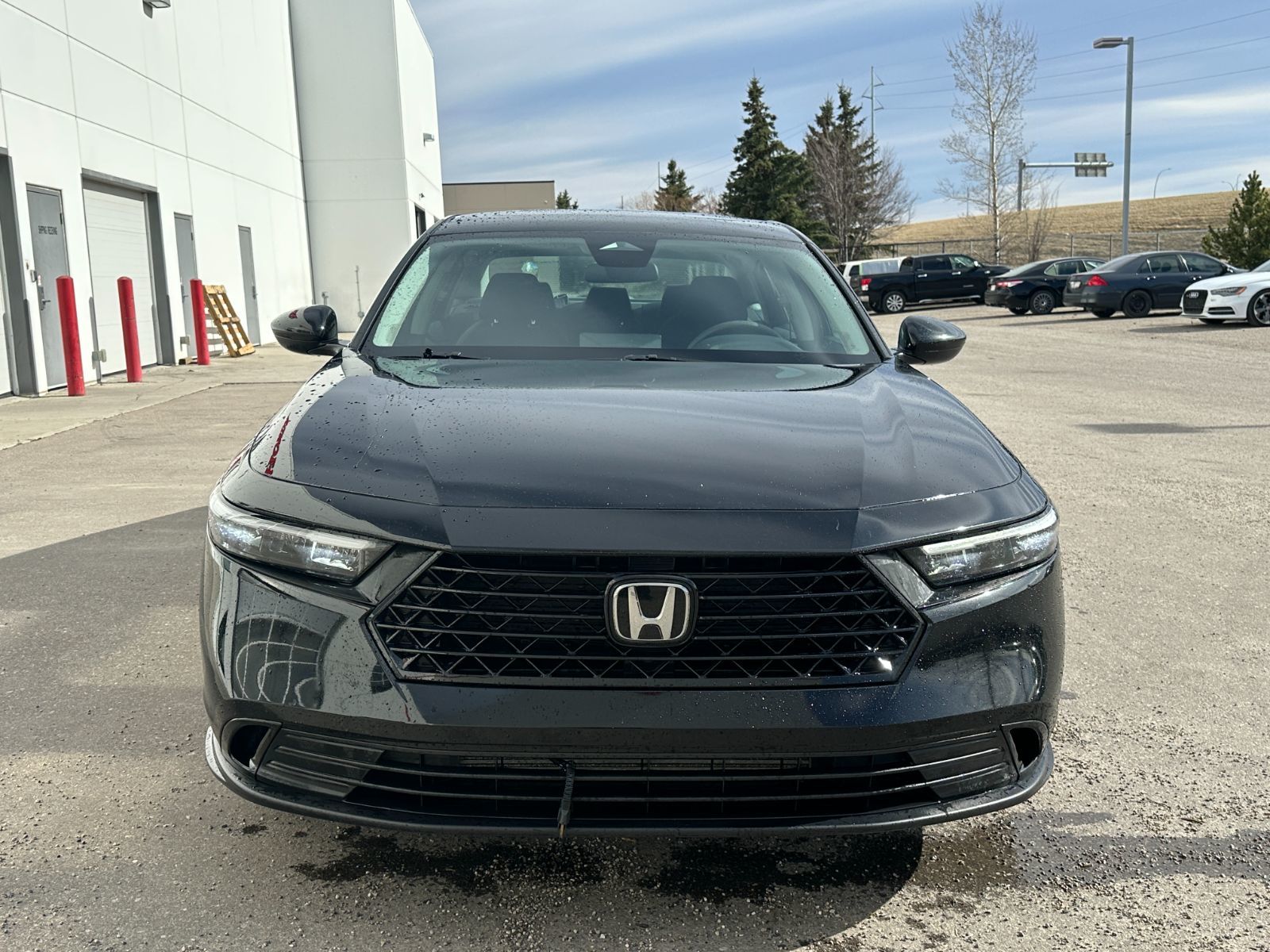 2023 Honda Accord in Calgary, Alberta