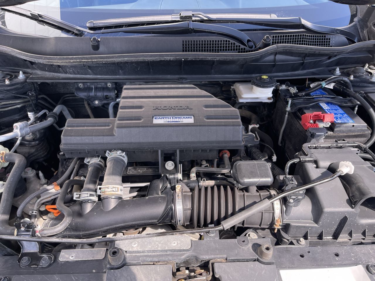 Honda CR-V  2021 à Calgary, Alberta