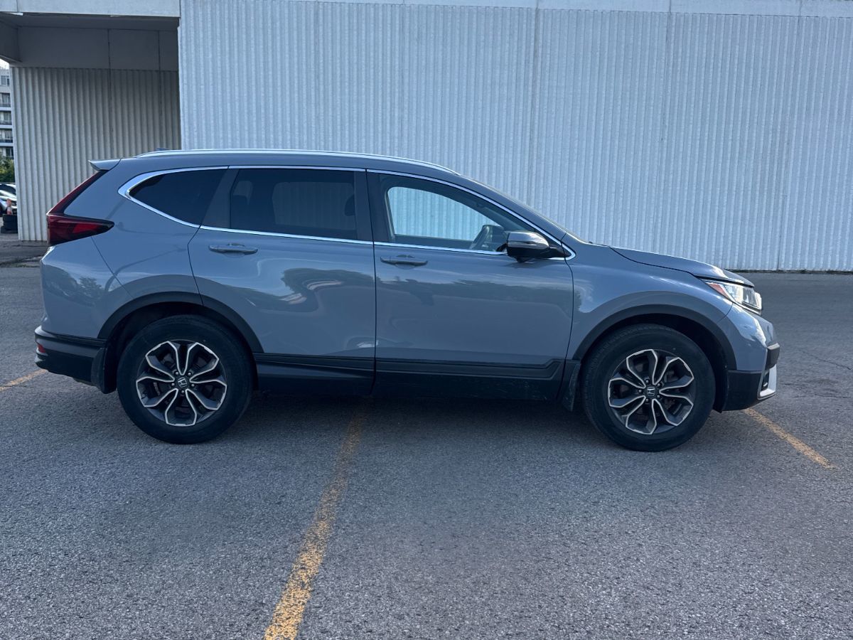 2022 Honda CR-V in Calgary, Alberta