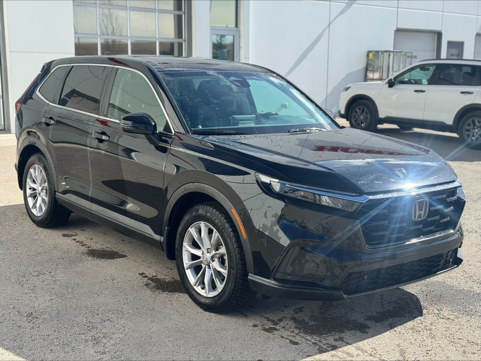 Honda CR-V  2024 à Calgary, Alberta