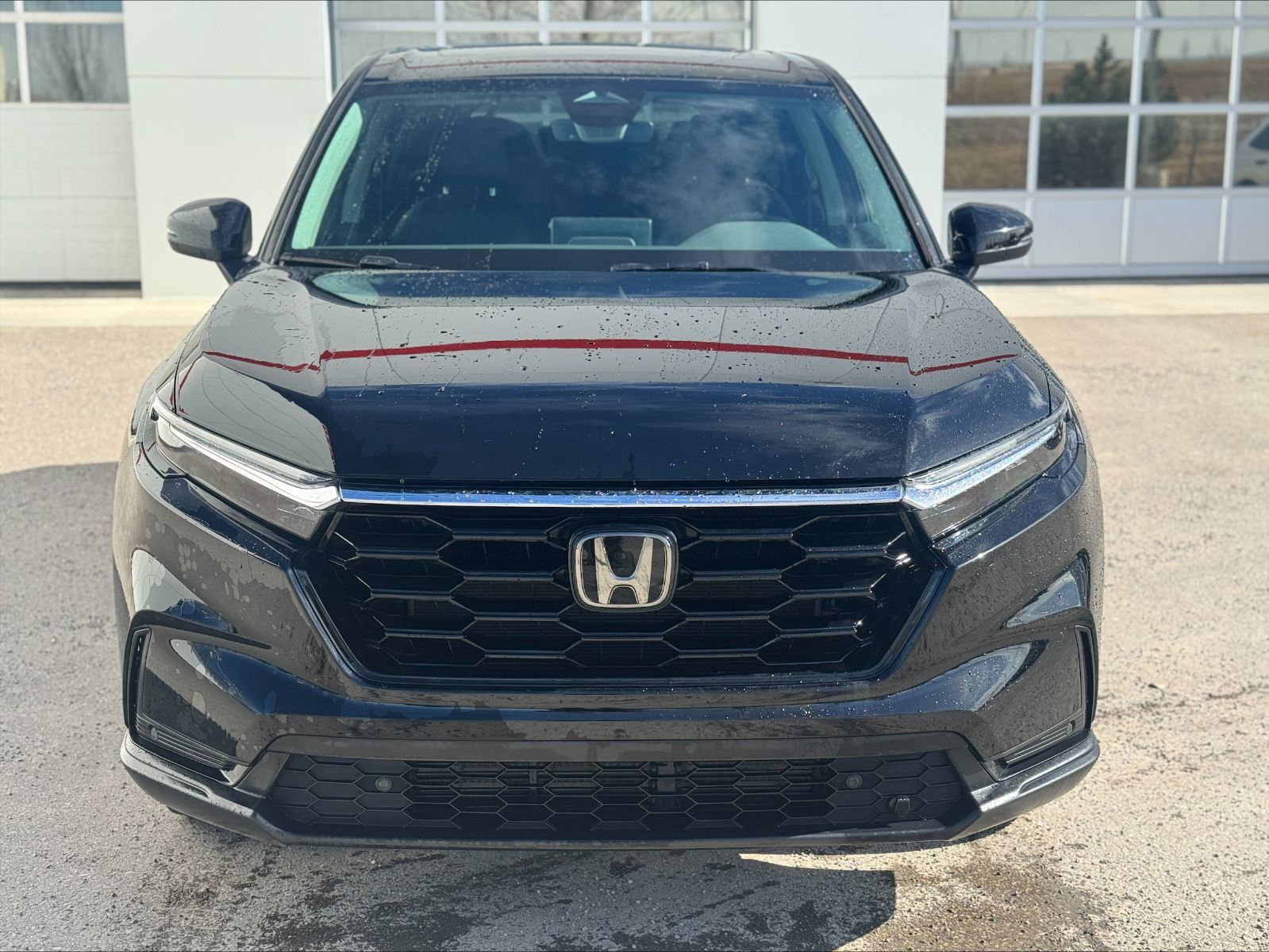 Honda CR-V  2024 à Calgary, Alberta
