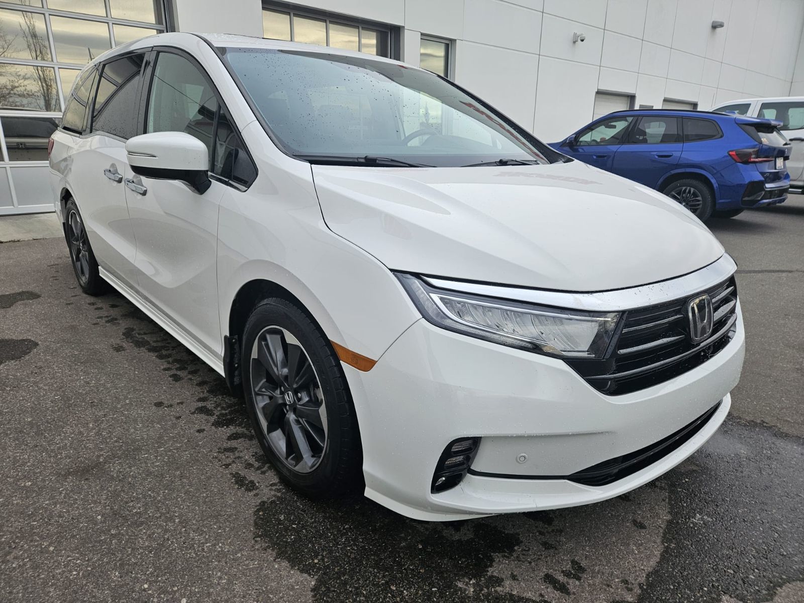 2023 Honda Odyssey