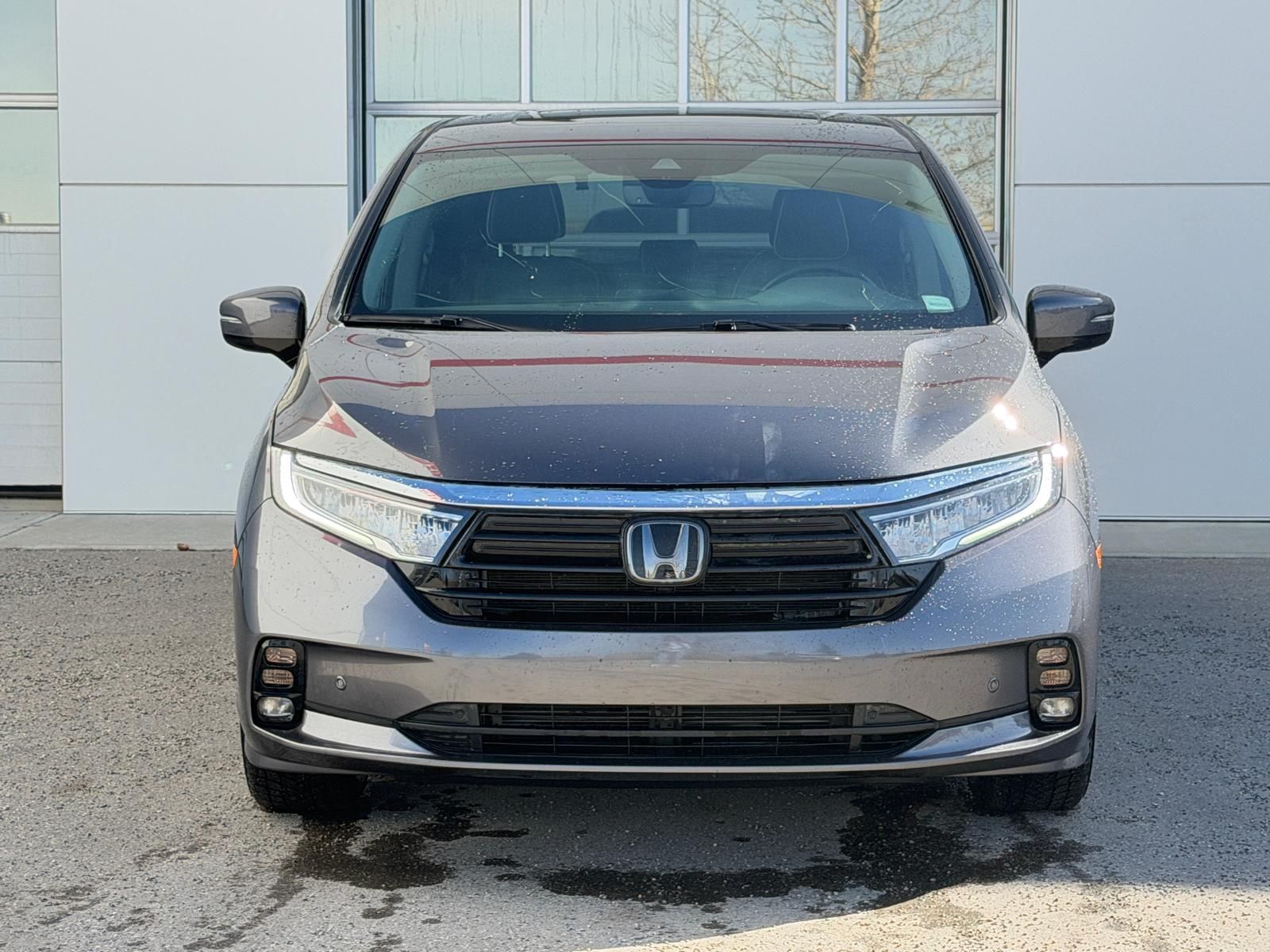 Honda Odyssey  2024 à Calgary, Alberta