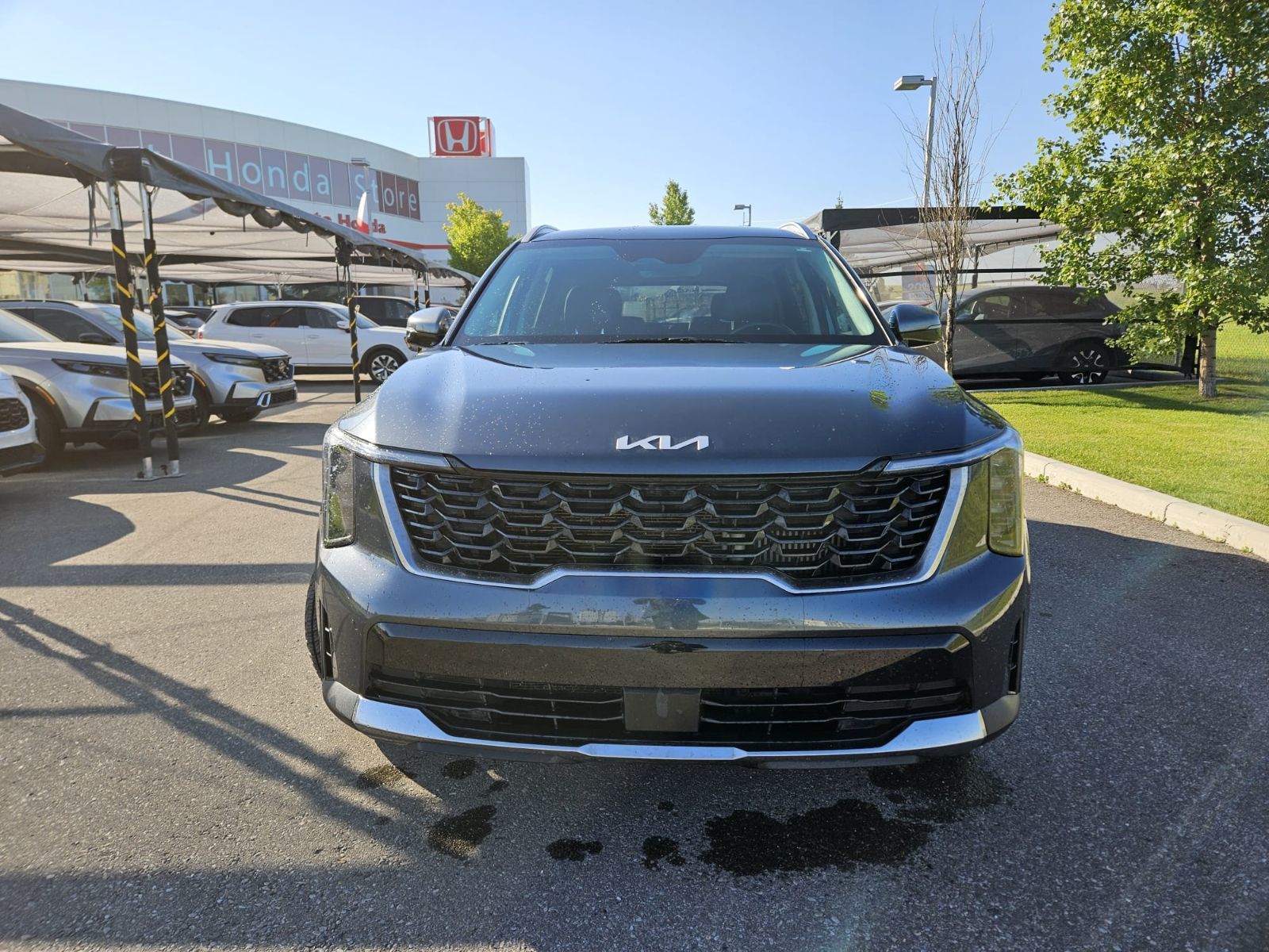 Kia Sorento  2024 à Calgary, Alberta