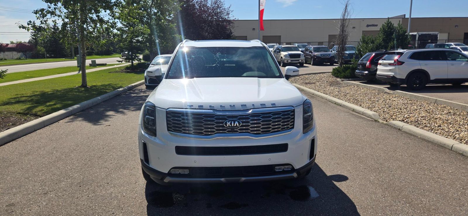 Kia Telluride  2020 à Calgary, Alberta