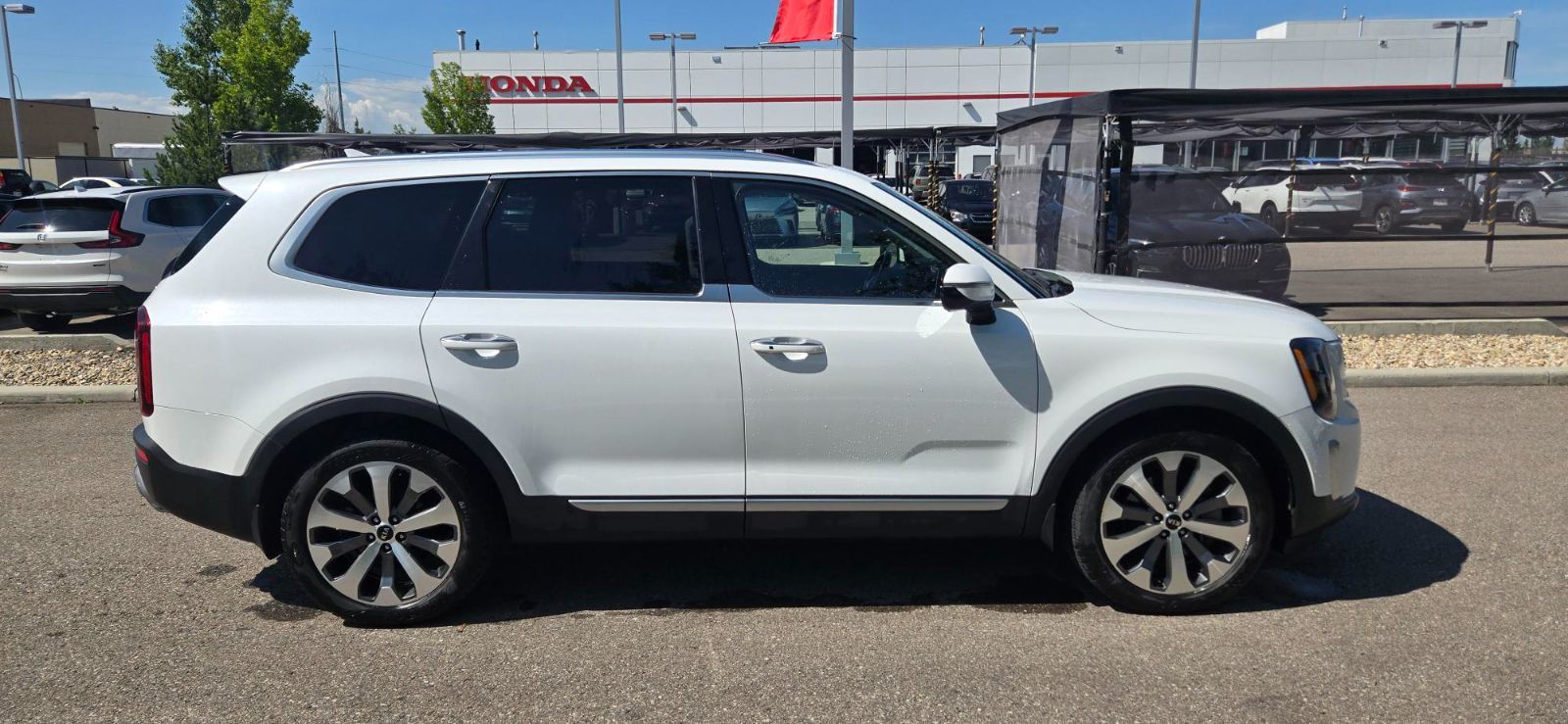 Kia Telluride  2020 à Calgary, Alberta