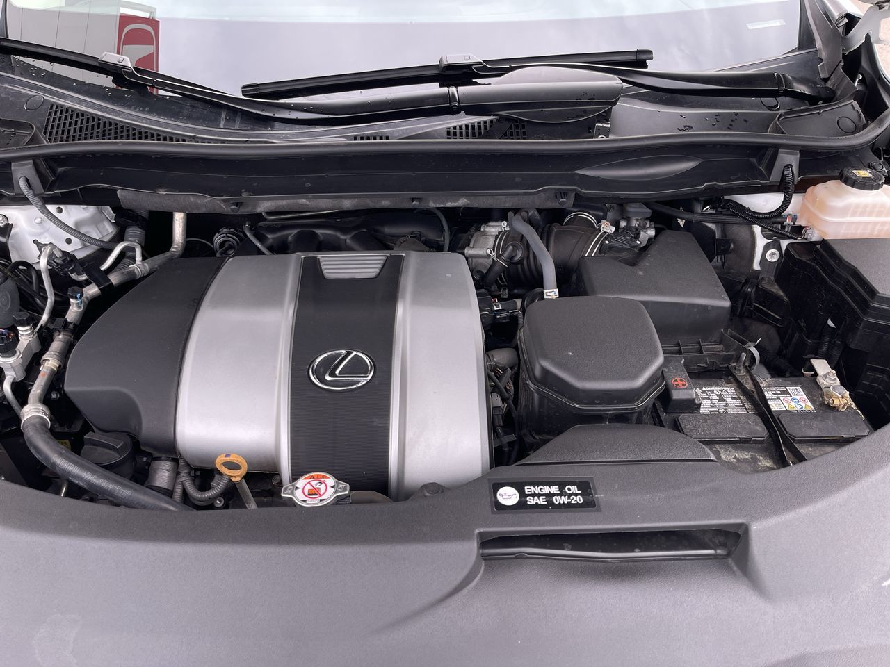 2022 Lexus RX in Calgary, Alberta