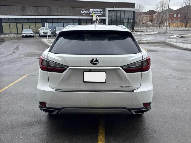 2022 Lexus RX in Calgary, Alberta