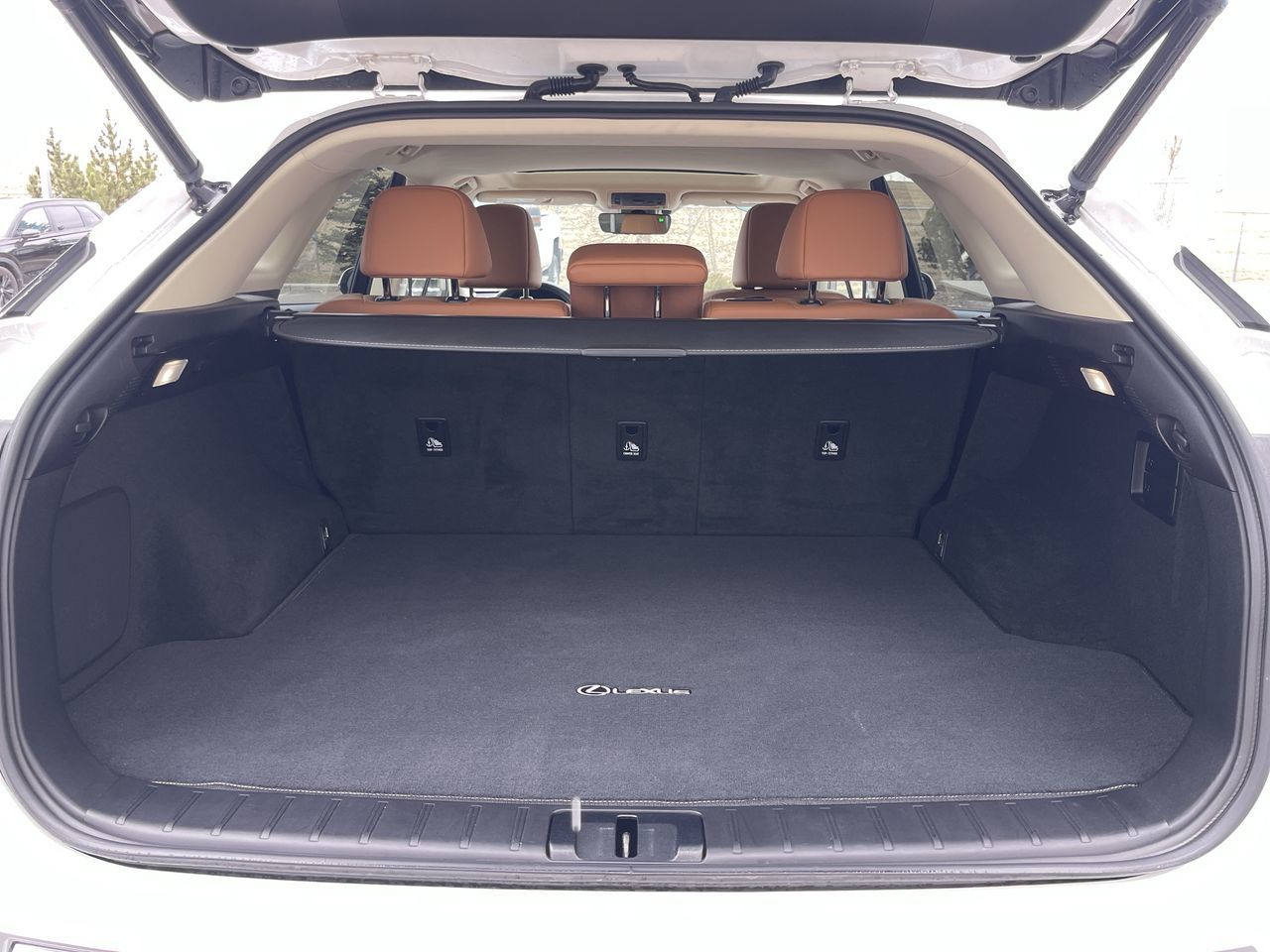 2022 Lexus RX in Calgary, Alberta