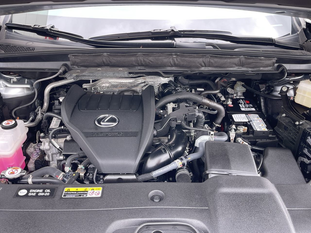 2023 Lexus RX in Calgary, Alberta