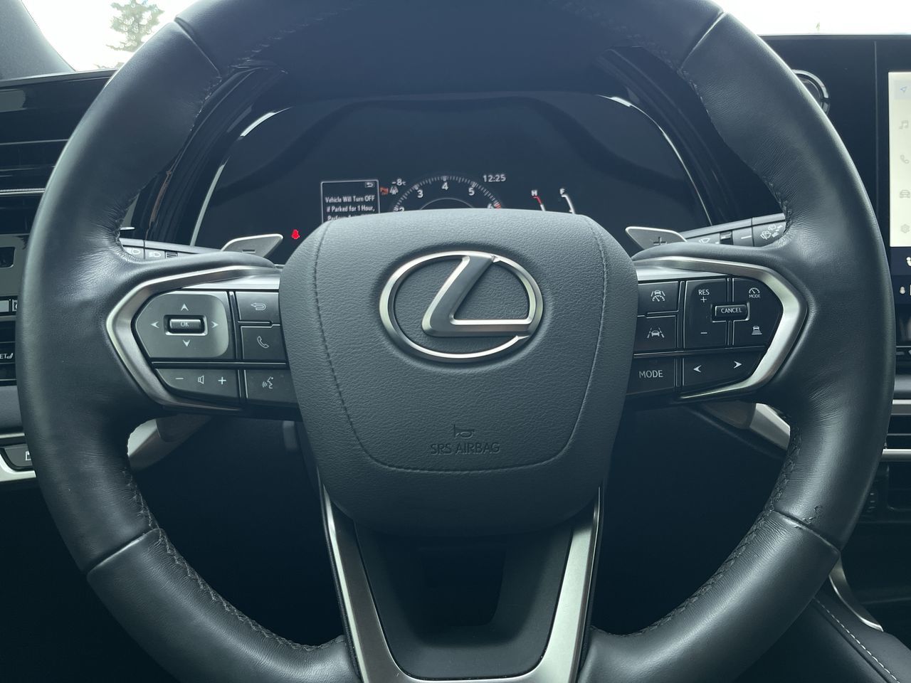 2023 Lexus RXh in Calgary, Alberta