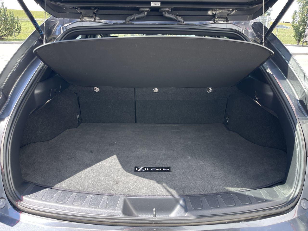 2025 Lexus UXh