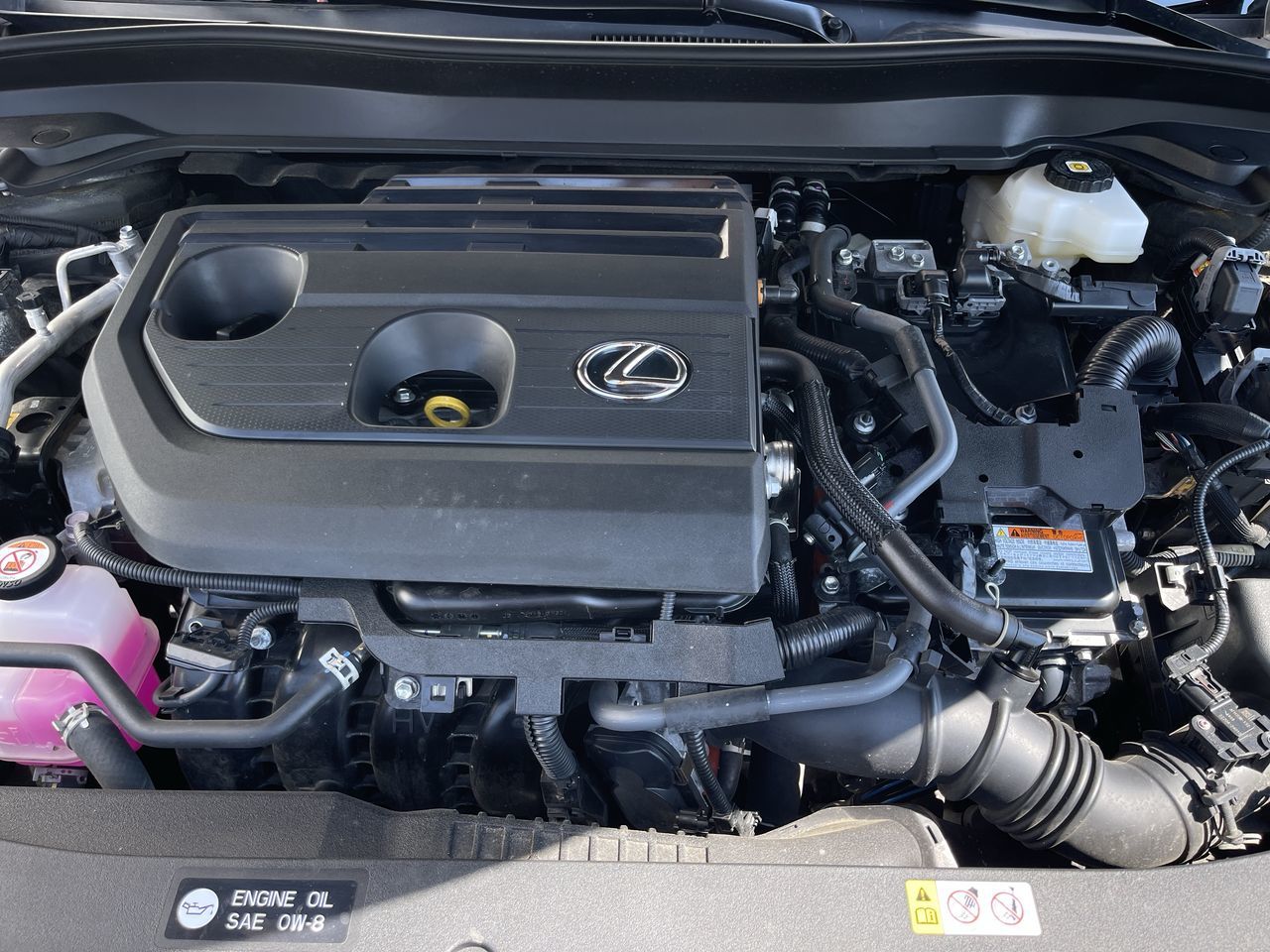 2025 Lexus UXh