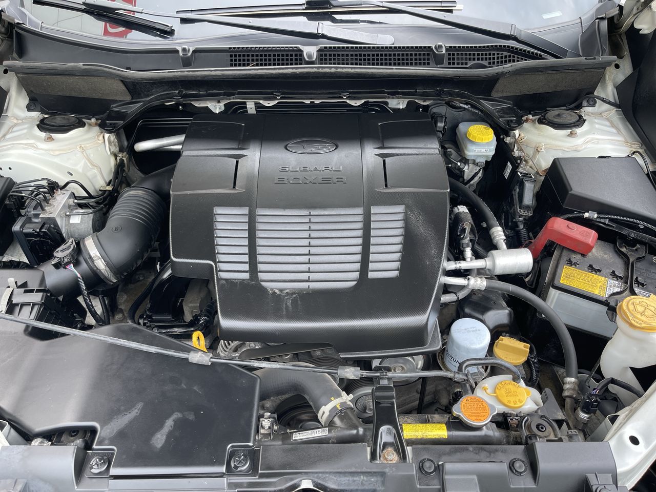 2022 Subaru Forester in Calgary, Alberta